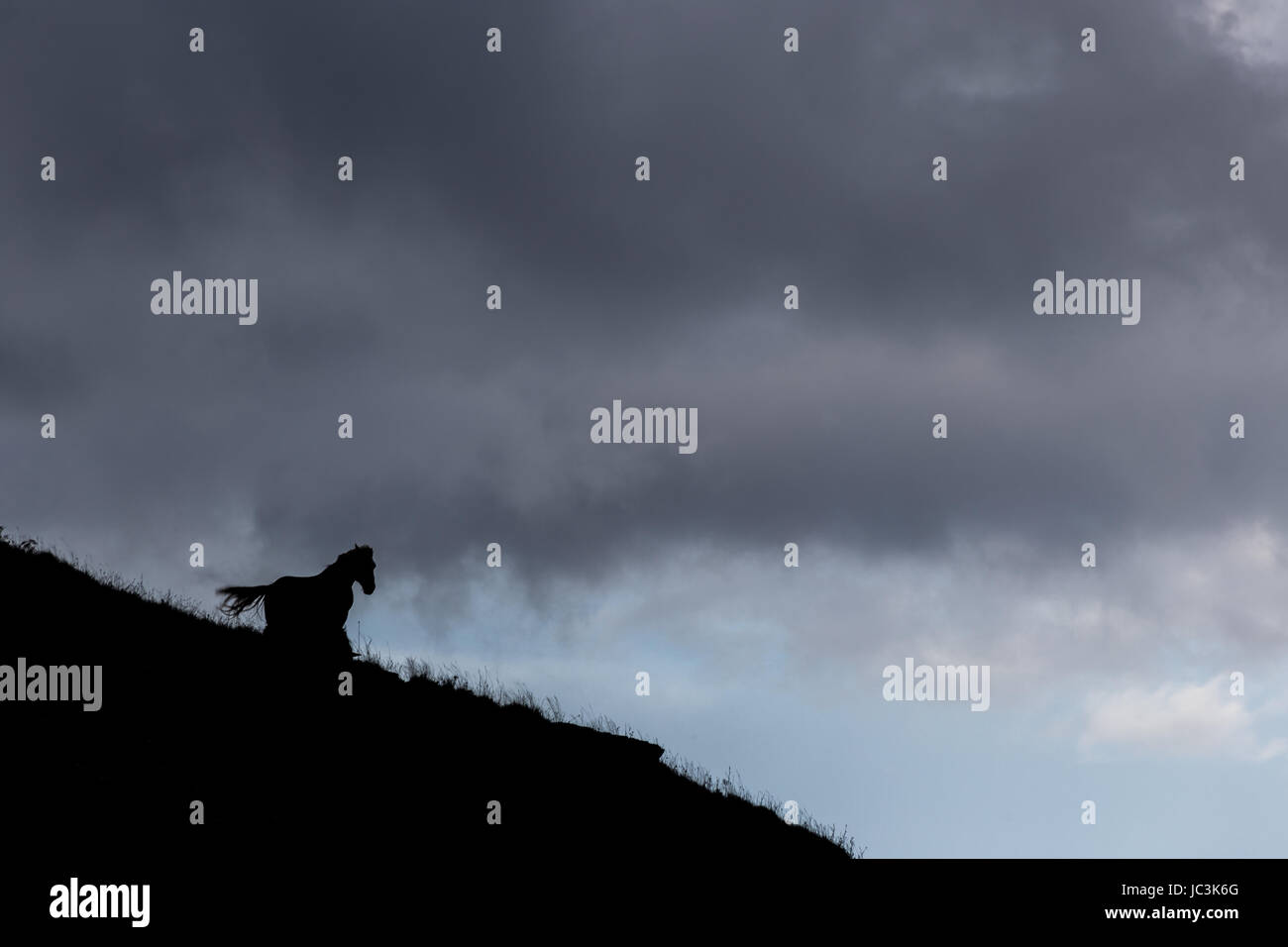 Eine Silhouette eines Pferdes auf einer Klippe mit stimmungsvoller Himmel im Hintergrund Stockfoto