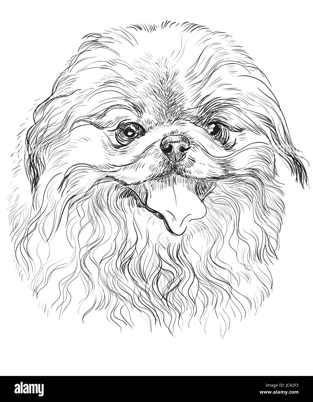 Vektor-Porträt der Pekinese Hund in schwarzer Farbe Handzeichnung Illustration auf weißem Hintergrund Stock Vektor