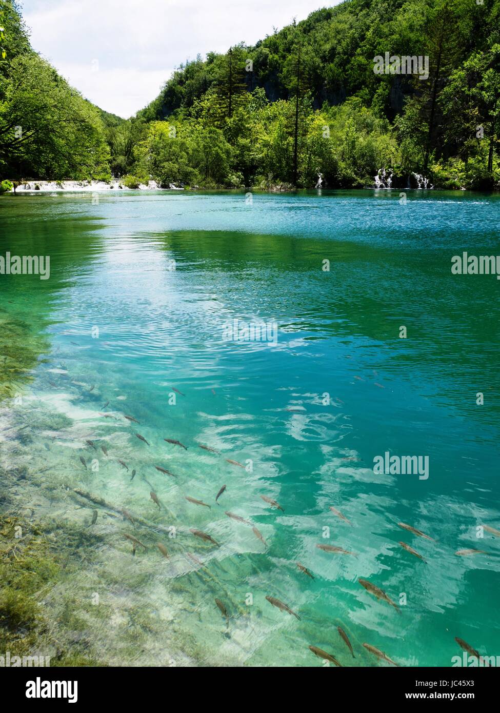 Plitvice Seen Kroatien Stockfoto