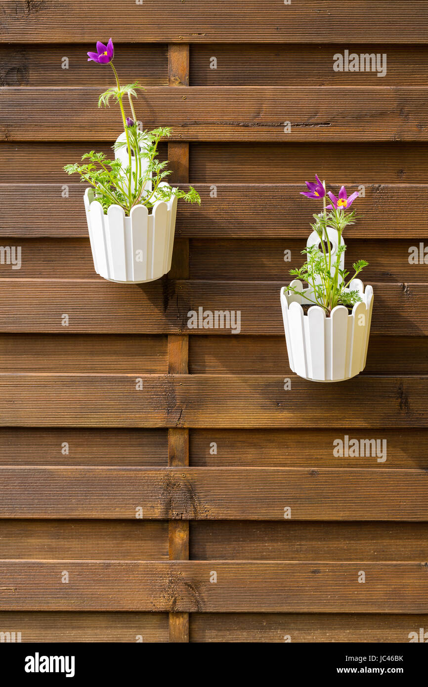 Outdoor-Blumentopf Holzzaun für kleinen Garten, Veranda oder Terrasse hängen Stockfotografie