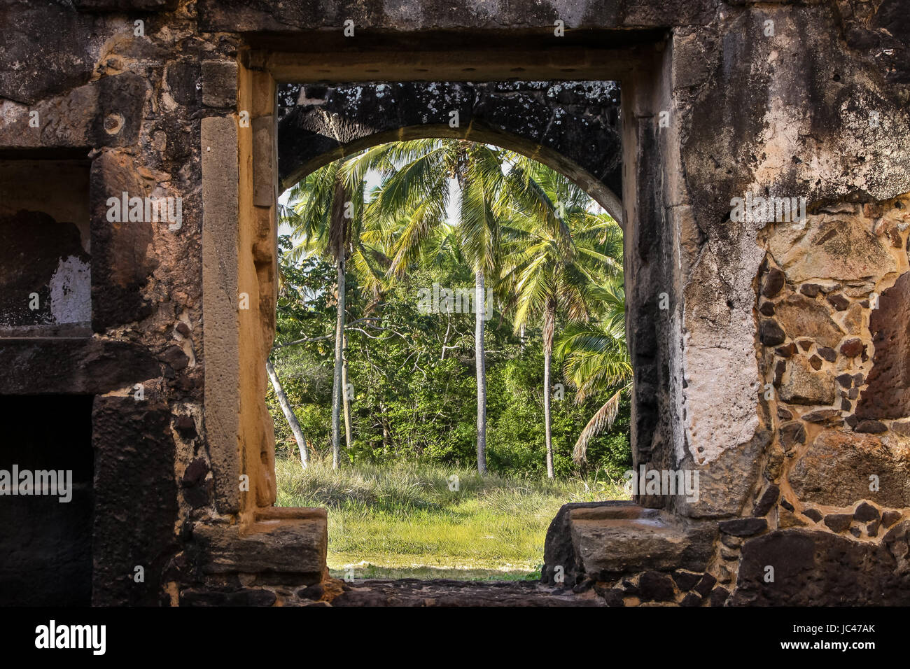 Blick auf Palmen durch ein Fenster der alten Festung El Castillo Garcia D´Avil, Praia Forte, Bahia, Brasilien Stockfoto