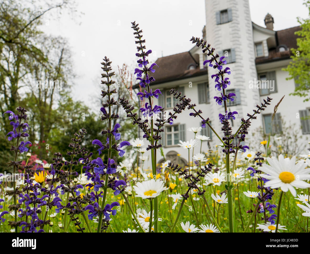 Schloss Hahnberg in Berg, Kanton St. Gallen, Schweiz Stockfoto