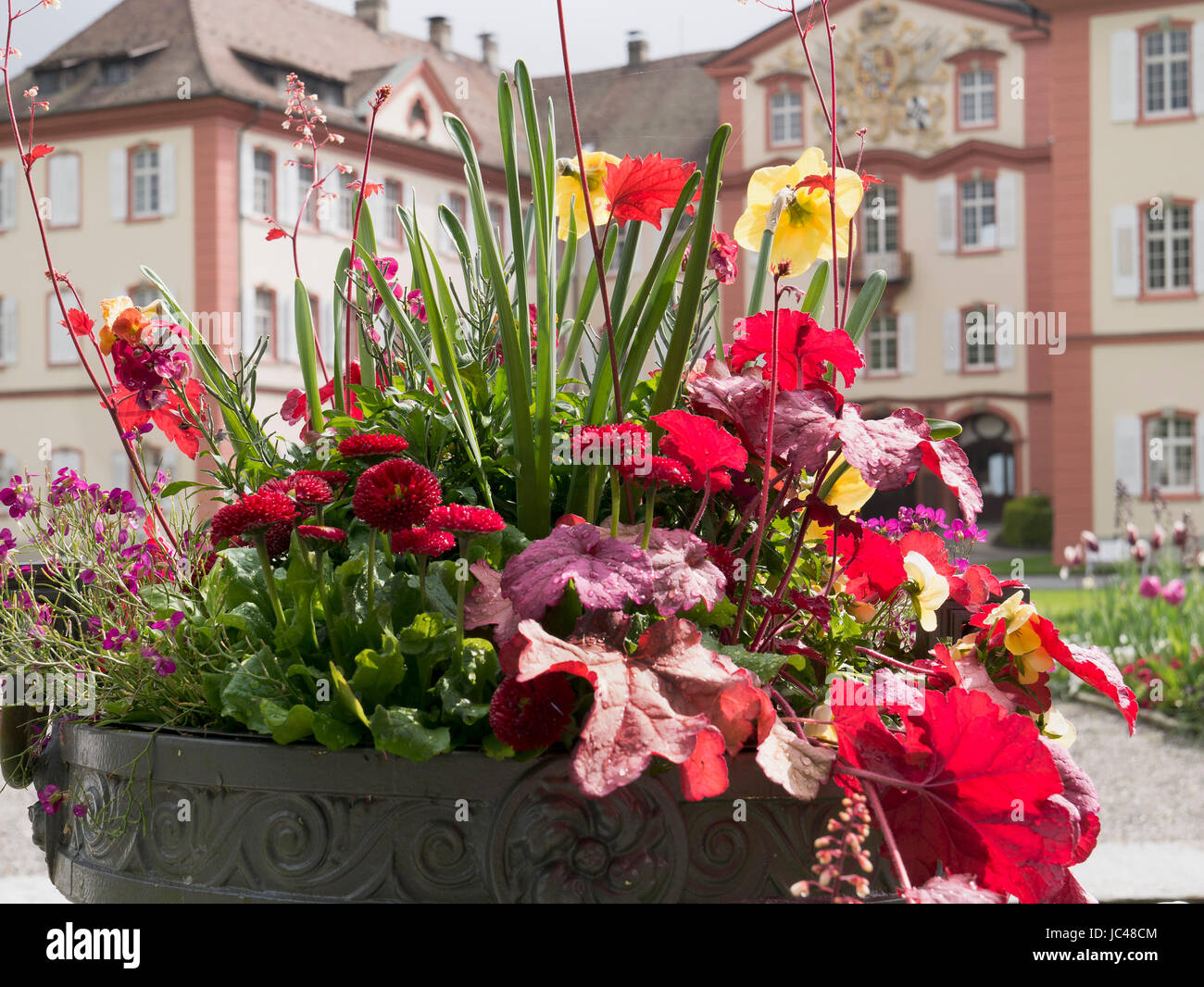 Burg auf der Insel Mainau, Bodensee, Baden-Württemberg, Deutschland, Europa Stockfoto