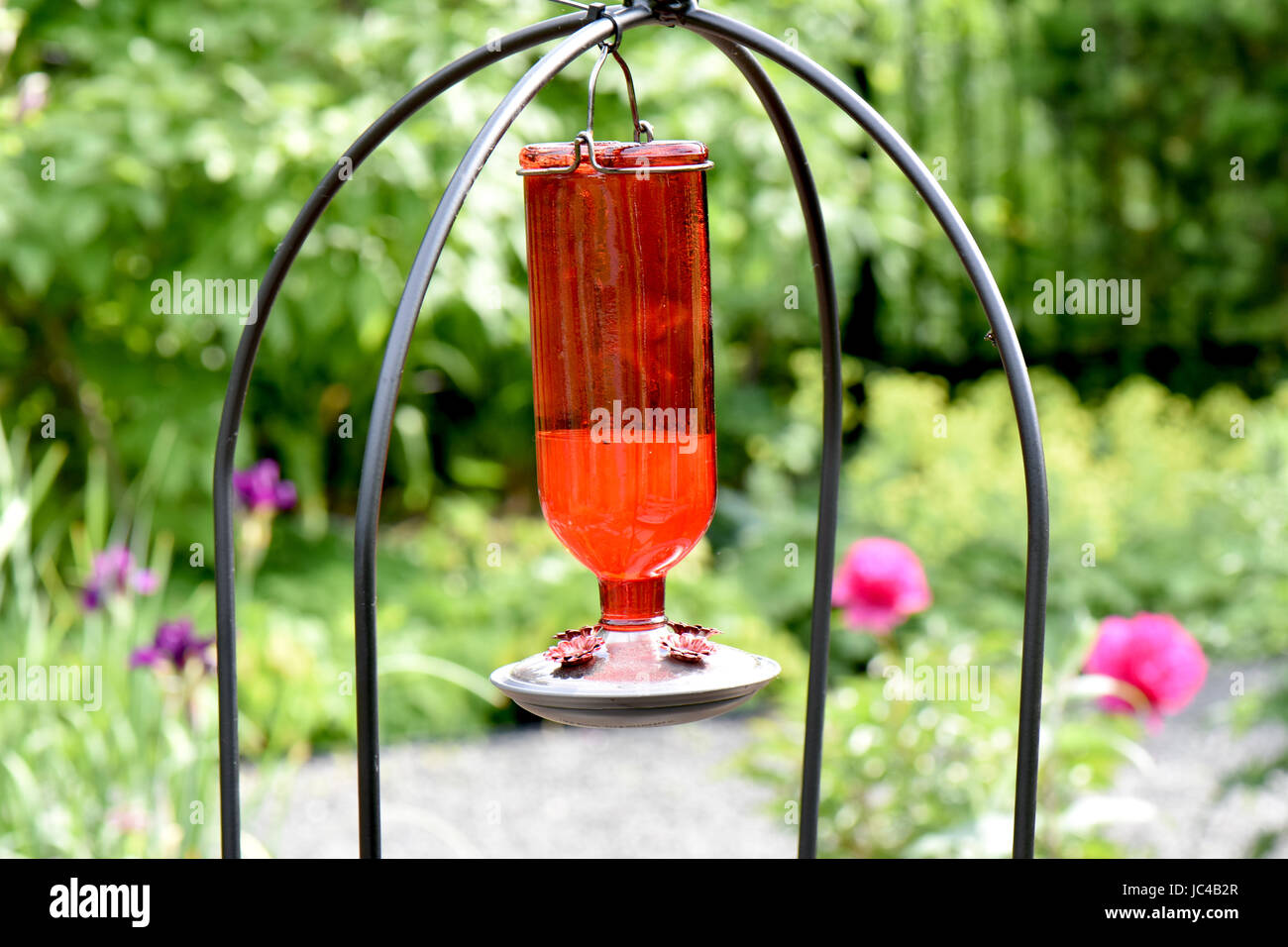 Brillante crimson Feeder voller Zucker Wasser lockt Kolibris in einen Garten. Stockfoto