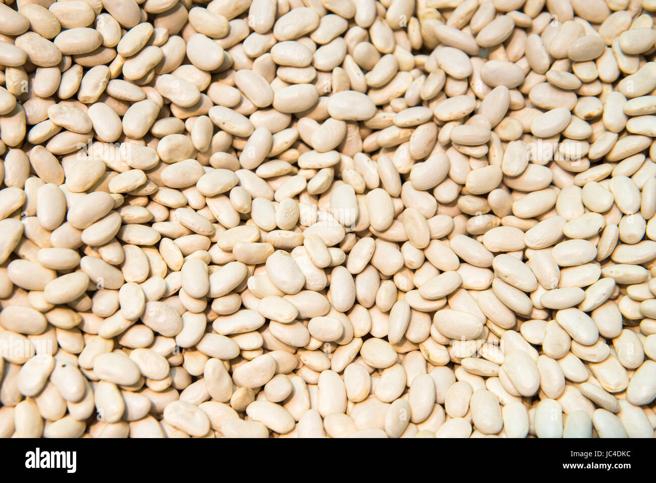 Zerdrückten Bohnen. Bohnen-Hintergrund. Natürliche Bio-Bohnen Stockfoto