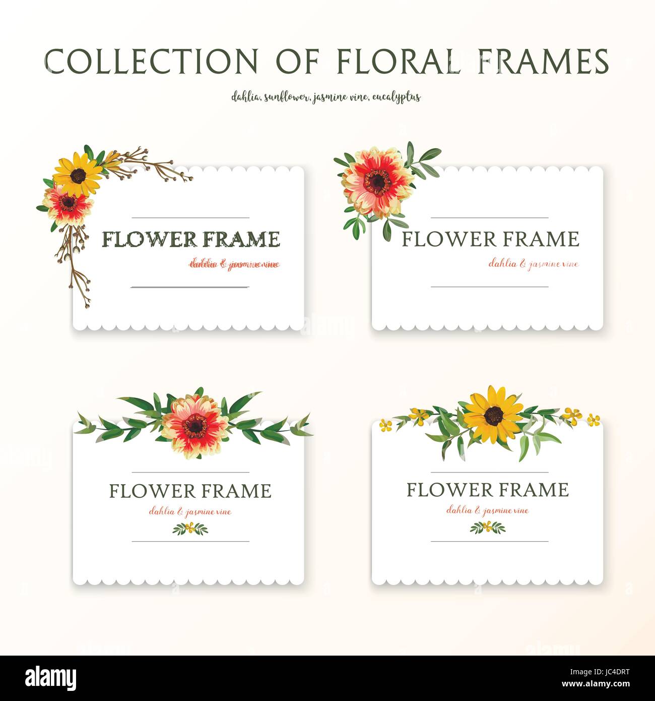 Eingestellt von Blume Blumen orange Dahlia Sonnenblume gelb Daisy, Eukalyptus Zweige Jasmin verlässt Karte Design-Kollektion. Vektor-Illustration schöne la Stock Vektor