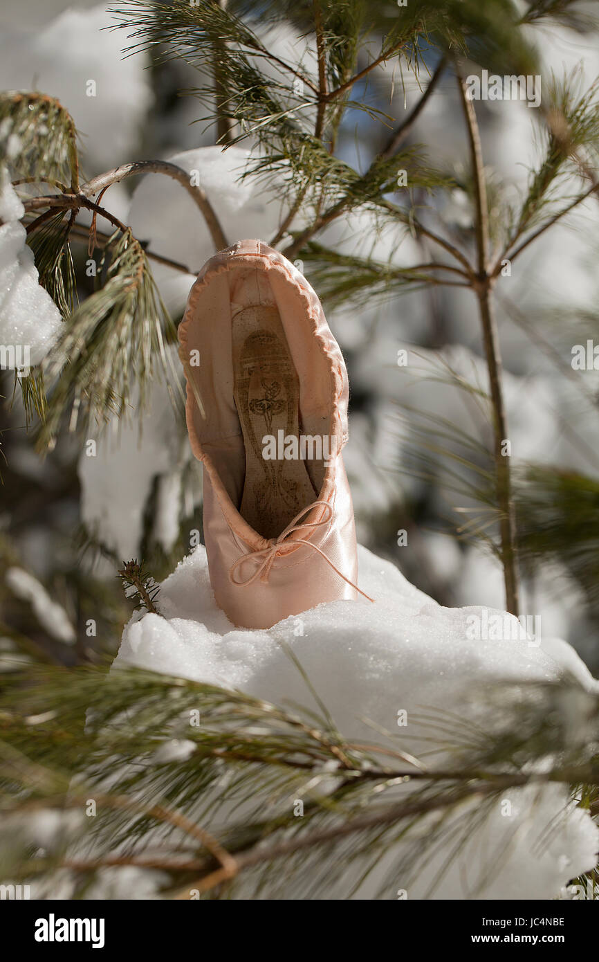 Pointe Schuh im Schnee. Ballett-Schuh in einer Winterlandschaft. Isoliert auf einem unscharfen Hintergrund. Stockfoto