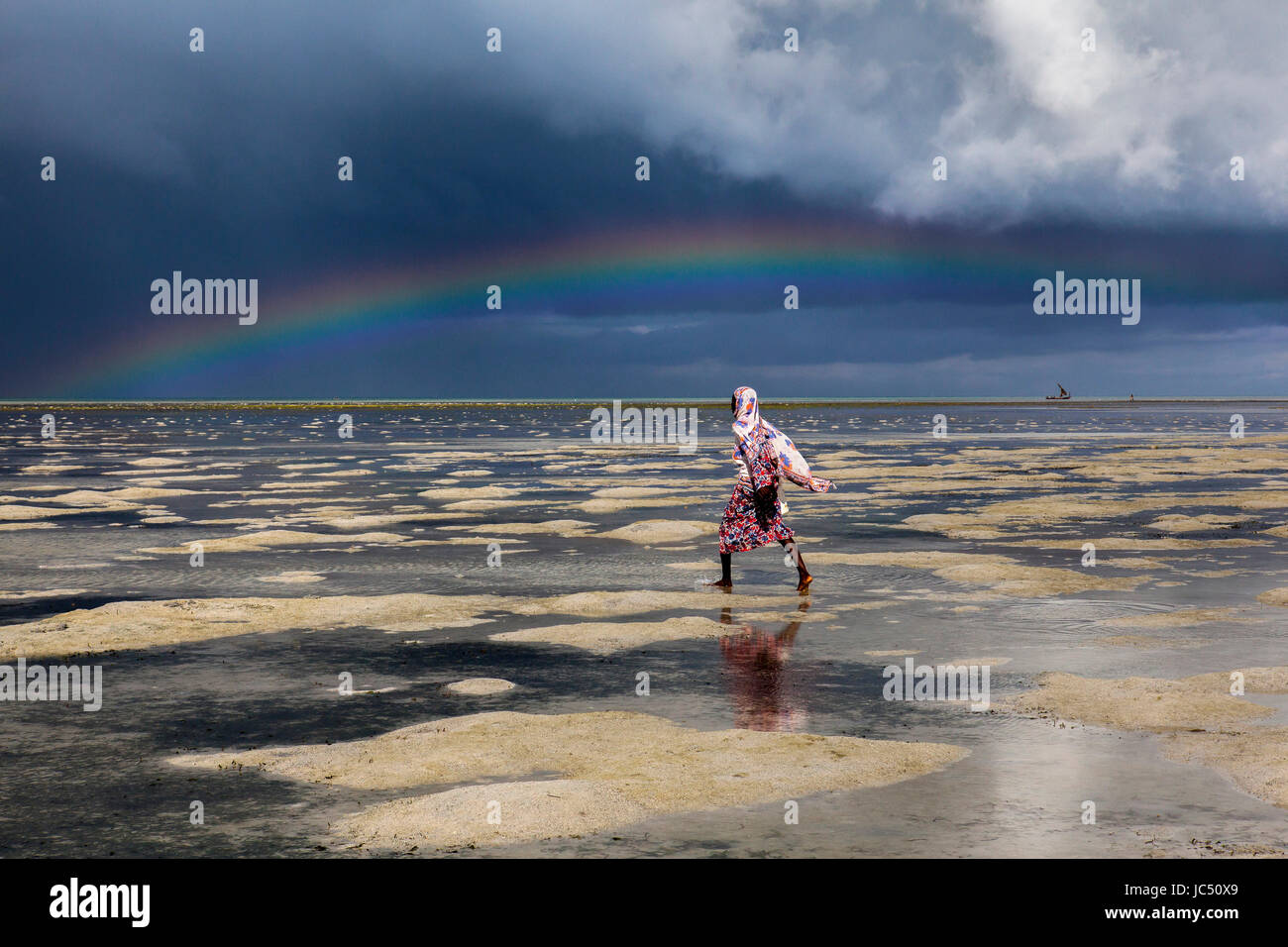 Unter dem Bogen des Regenbogens leitet eine Frau aus Muscheln bei Ebbe im Fumba, Zanzibar zu sammeln. Stockfoto