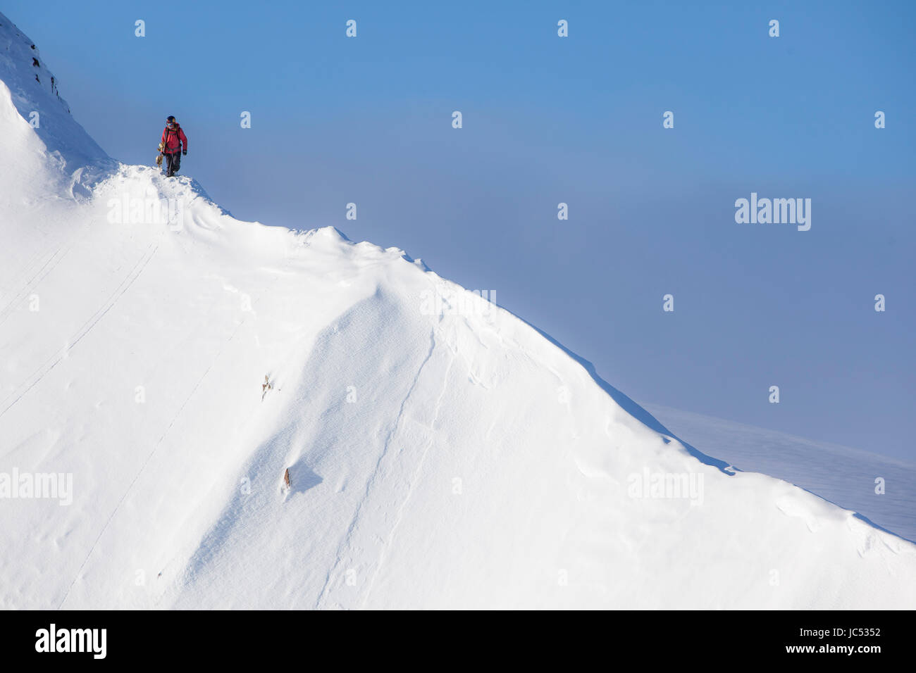 Professionelle Snowboarder Marie France Roy, Spaziergänge entlang einer Hügelkette, sich auf ihre Linie an einem sonnigen Tag in Haines, Alaska. Stockfoto