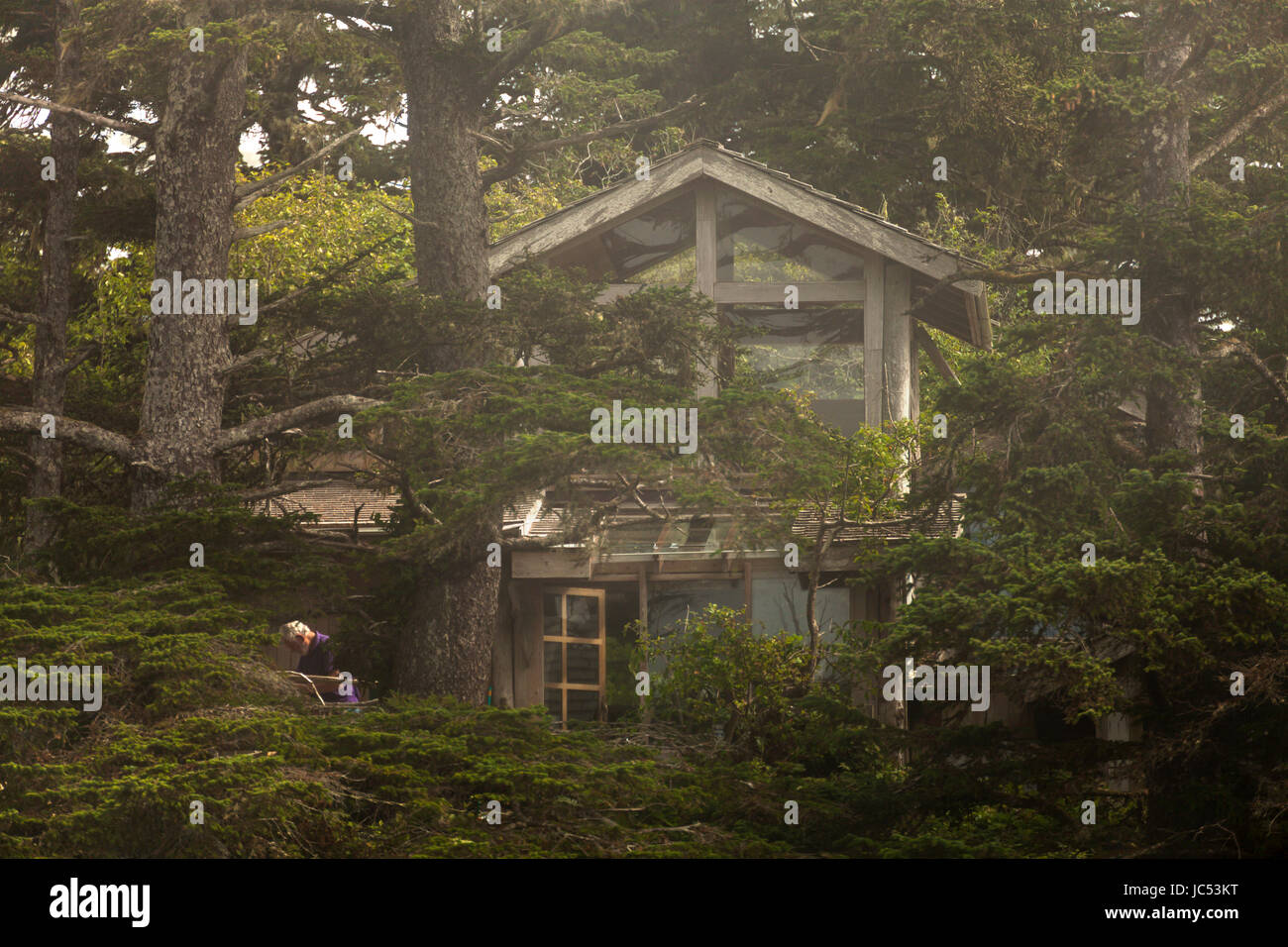 Ein Mann arbeitet außerhalb seines Westküste, moderne Haus befindet sich, auf einer Insel in der Nähe von Tofino, BC, Kanada. Stockfoto