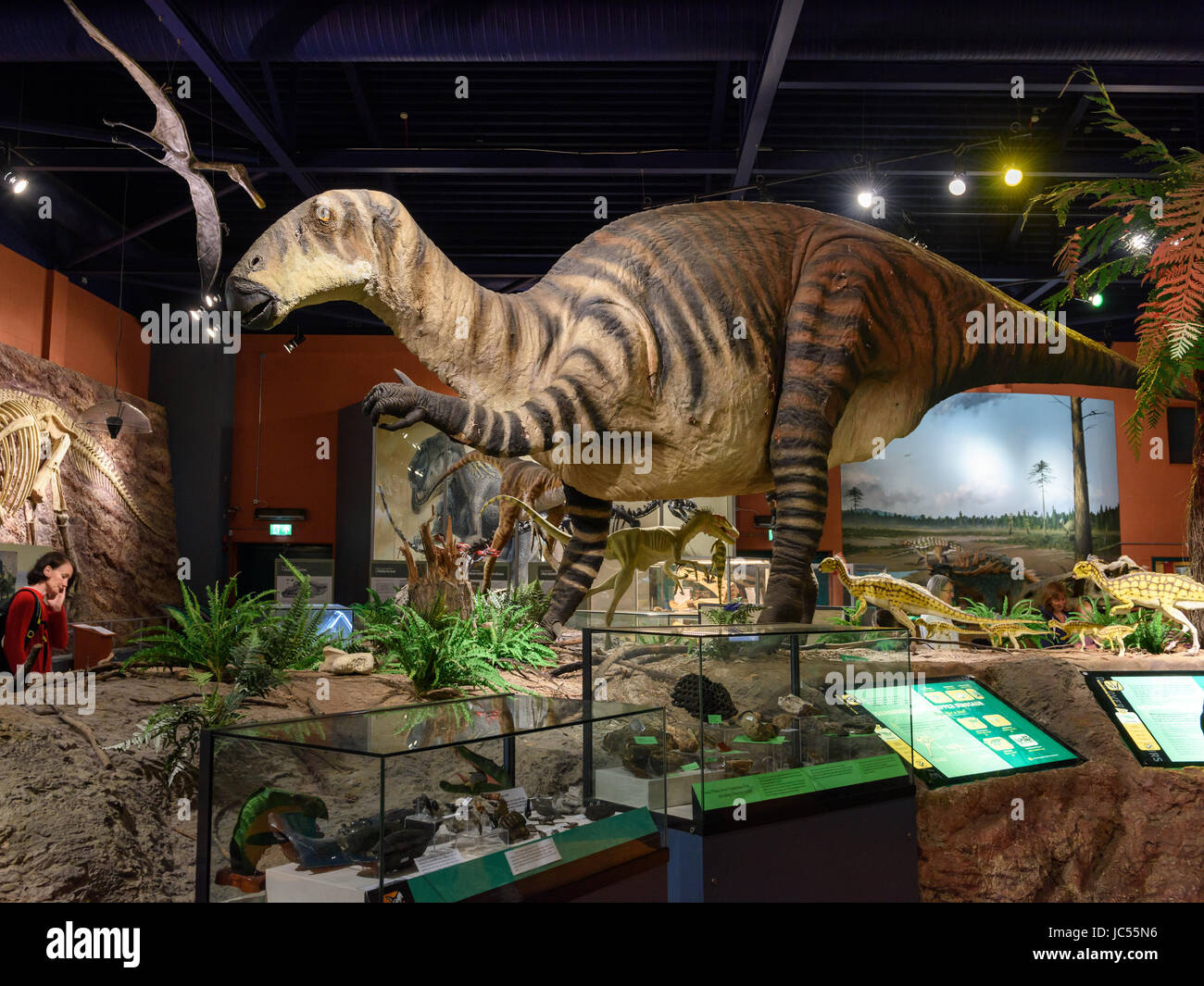 Iguanodon, Sauriermuseum Isle, Sandown, Isle Of Wight, Großbritannien Stockfoto