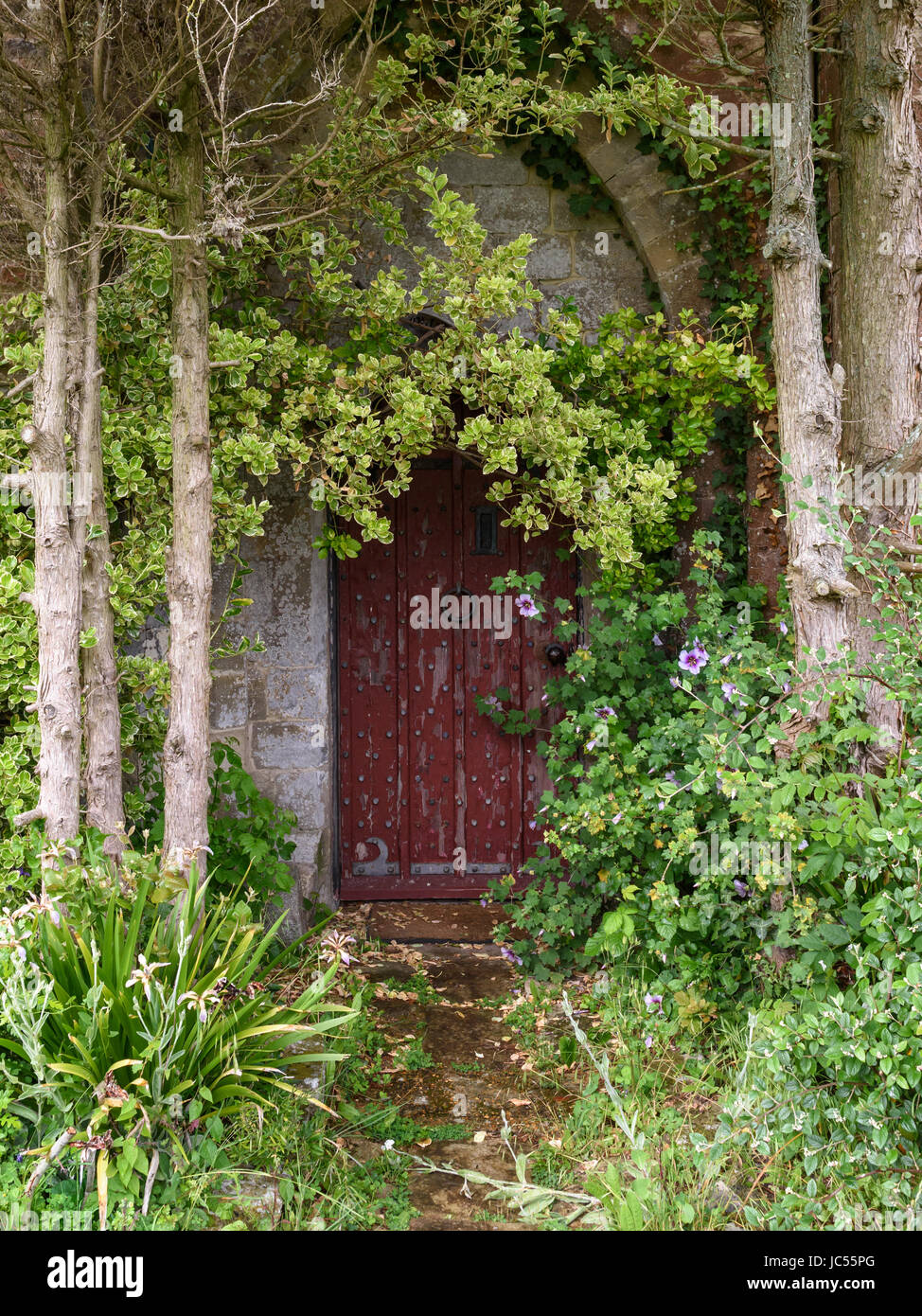 Geheimnisvolle gewölbte Tür mit verwilderten Pflanzen, Isle Of Wight, Großbritannien Stockfoto