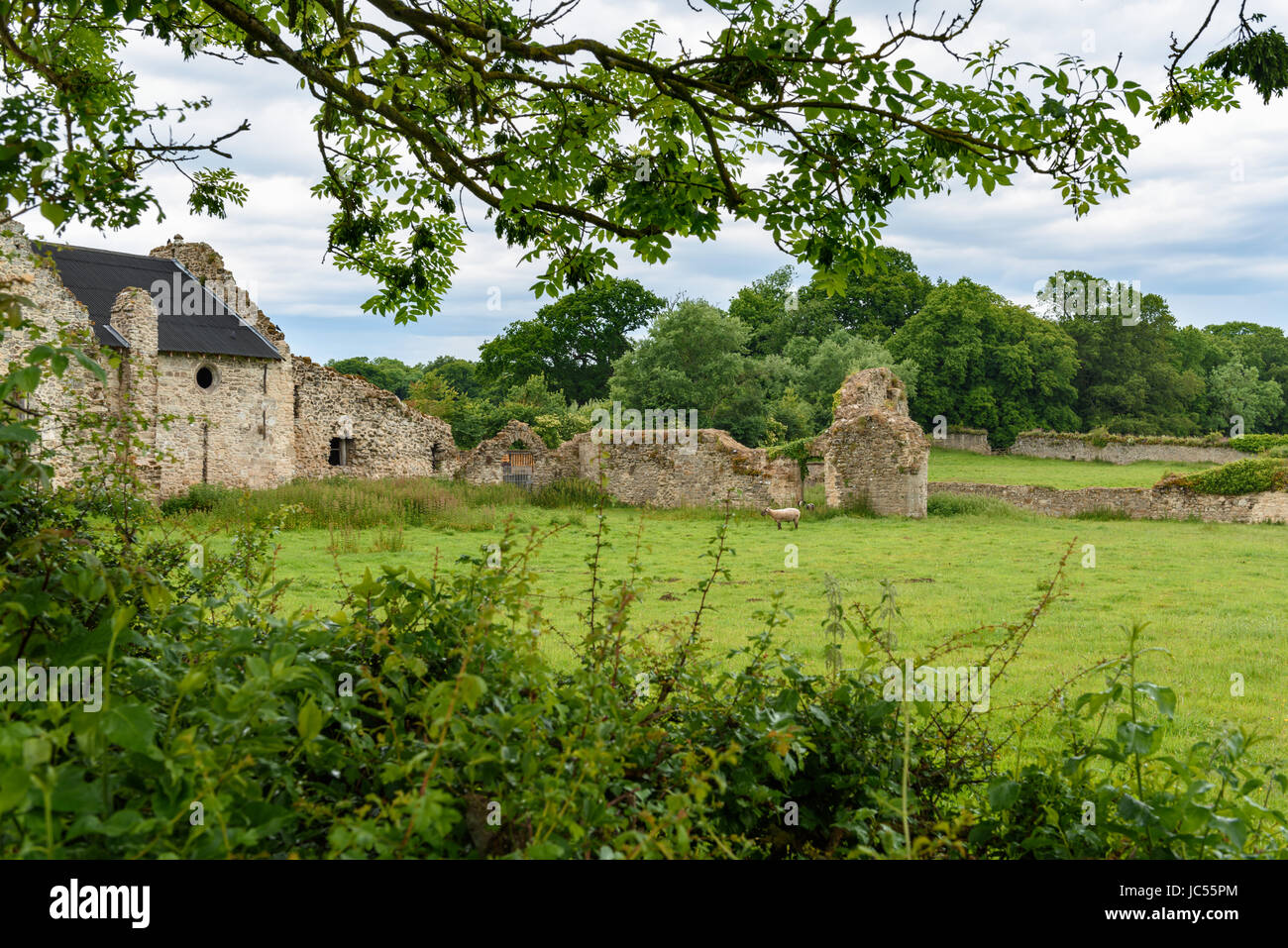 Ruinen der mittelalterlichen Quarr Abtei, Isle Of Wight, Großbritannien Stockfoto