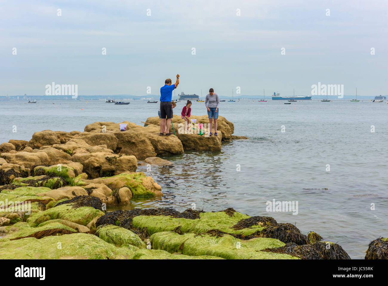 Teich strand Fotos und Bildmaterial in hoher Auflösung Alamy
