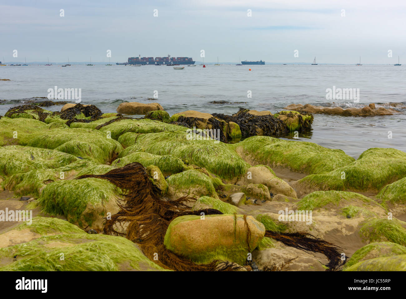 Containerschiff auf Solent, Blick aufs Meer, Isle Of Wight, Großbritannien Stockfoto