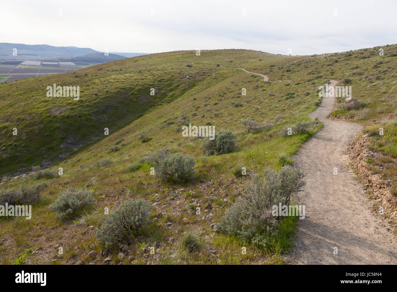 Richland, Washington: Skyline Trail auf Dachs Berg Centennial bewahren. Stockfoto