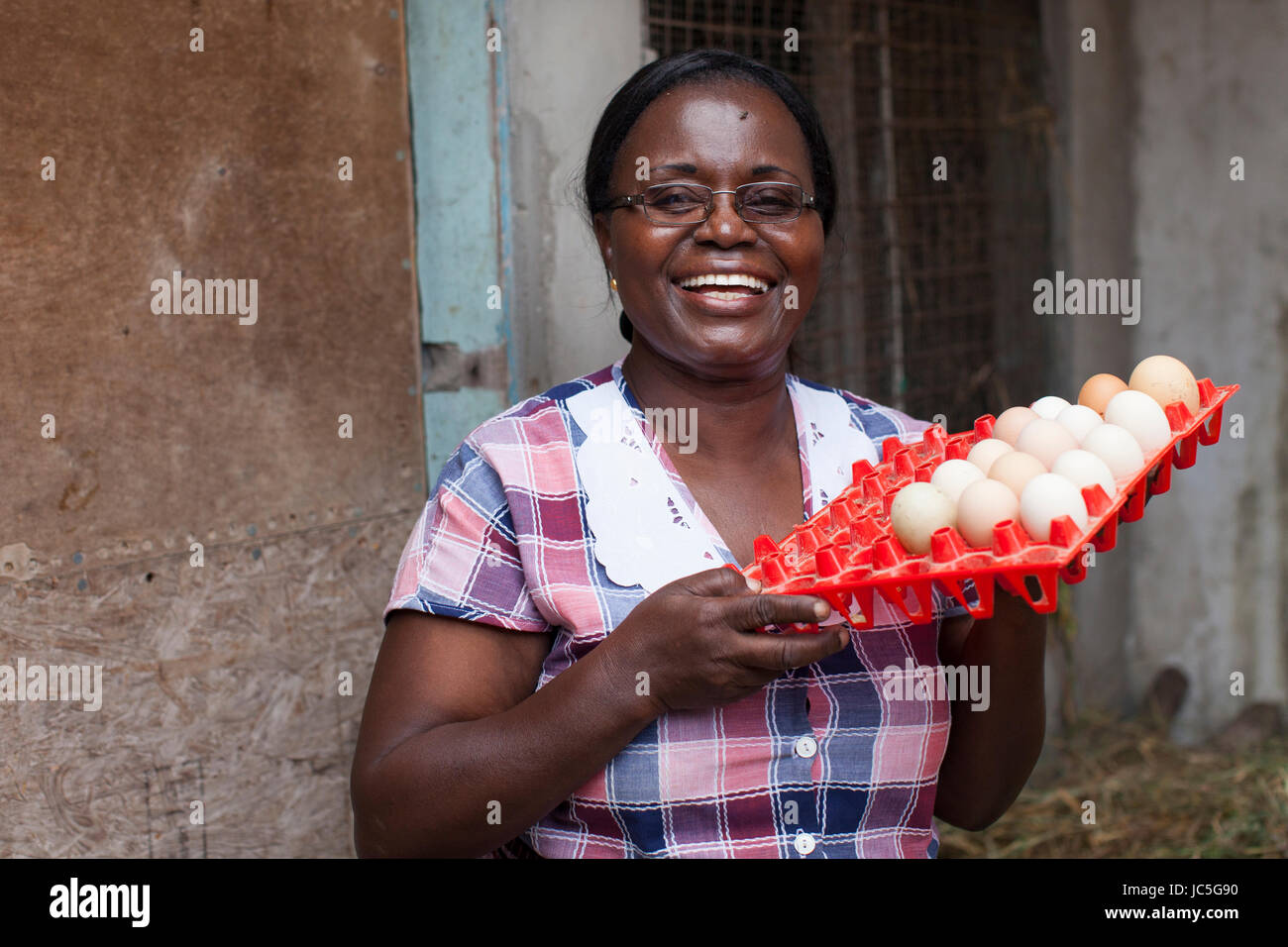 Weibliche Geflügelzüchter, Tansania, Afrika. Stockfoto
