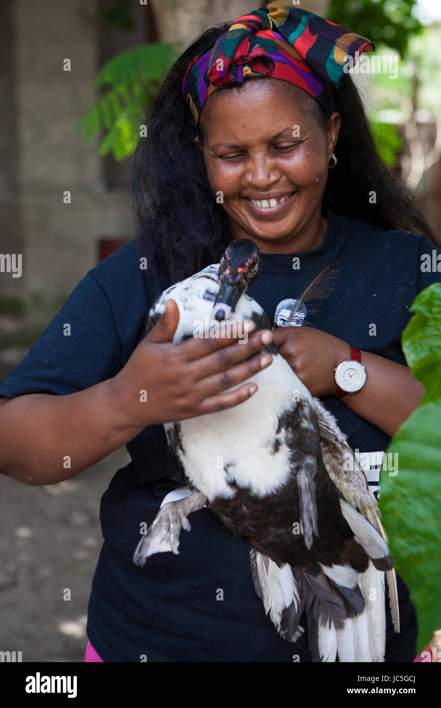 Eine weibliche Geflügel Bauer Holding ein Huhn, Tansania, Afrika. Stockfoto