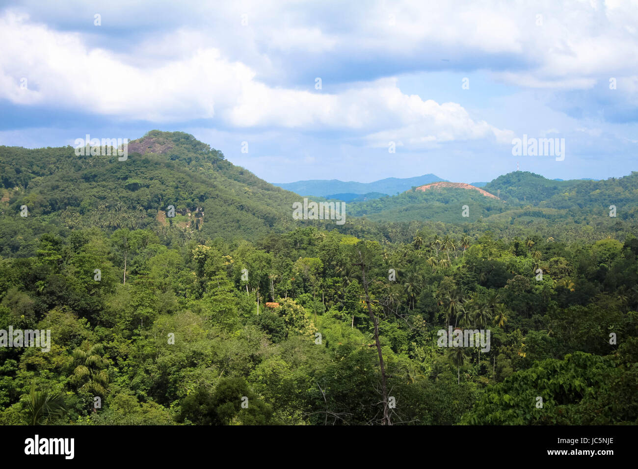 Malerische Landschaft auf der Zugfahrt von Colombo nach Kandy Stockfoto