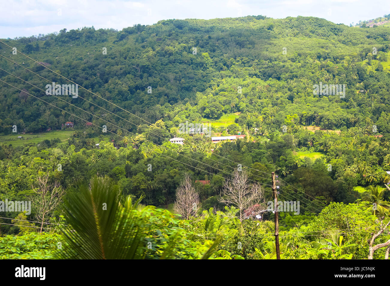 Malerische Landschaft auf der Zugfahrt von Colombo nach Kandy Stockfoto