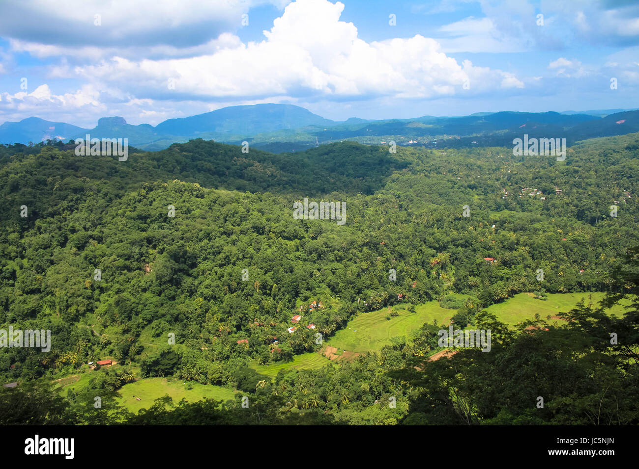 Malerische Landschaft auf der Zugfahrt von Colombo nach Kandy Stockfoto