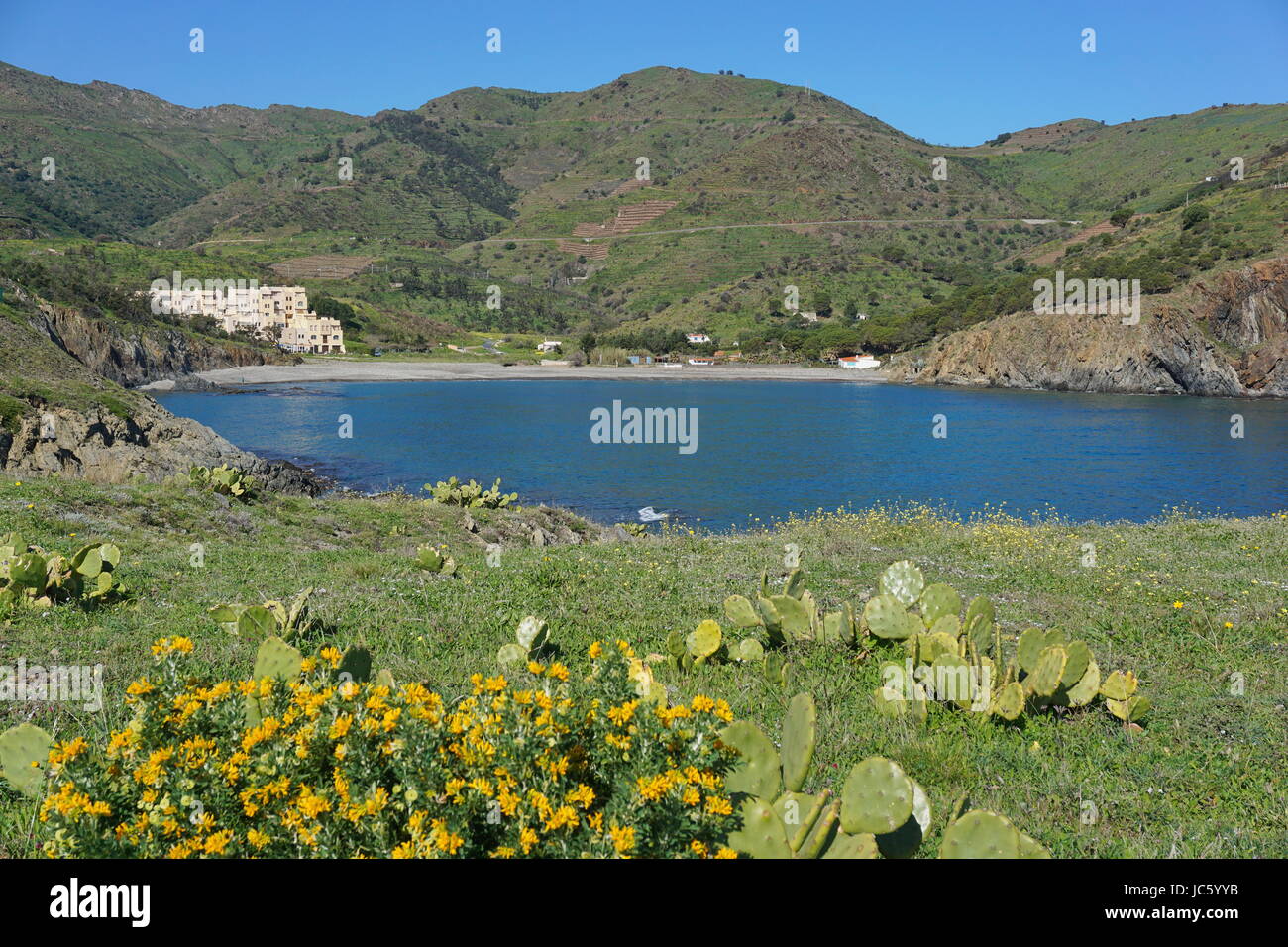 Coastal Landschaft die Bucht von Peyrefite an der Küste des Mittelmeeres im Süden von Frankreich, Cote Vermeille, Roussillon, Pyrenäen Orientales Stockfoto