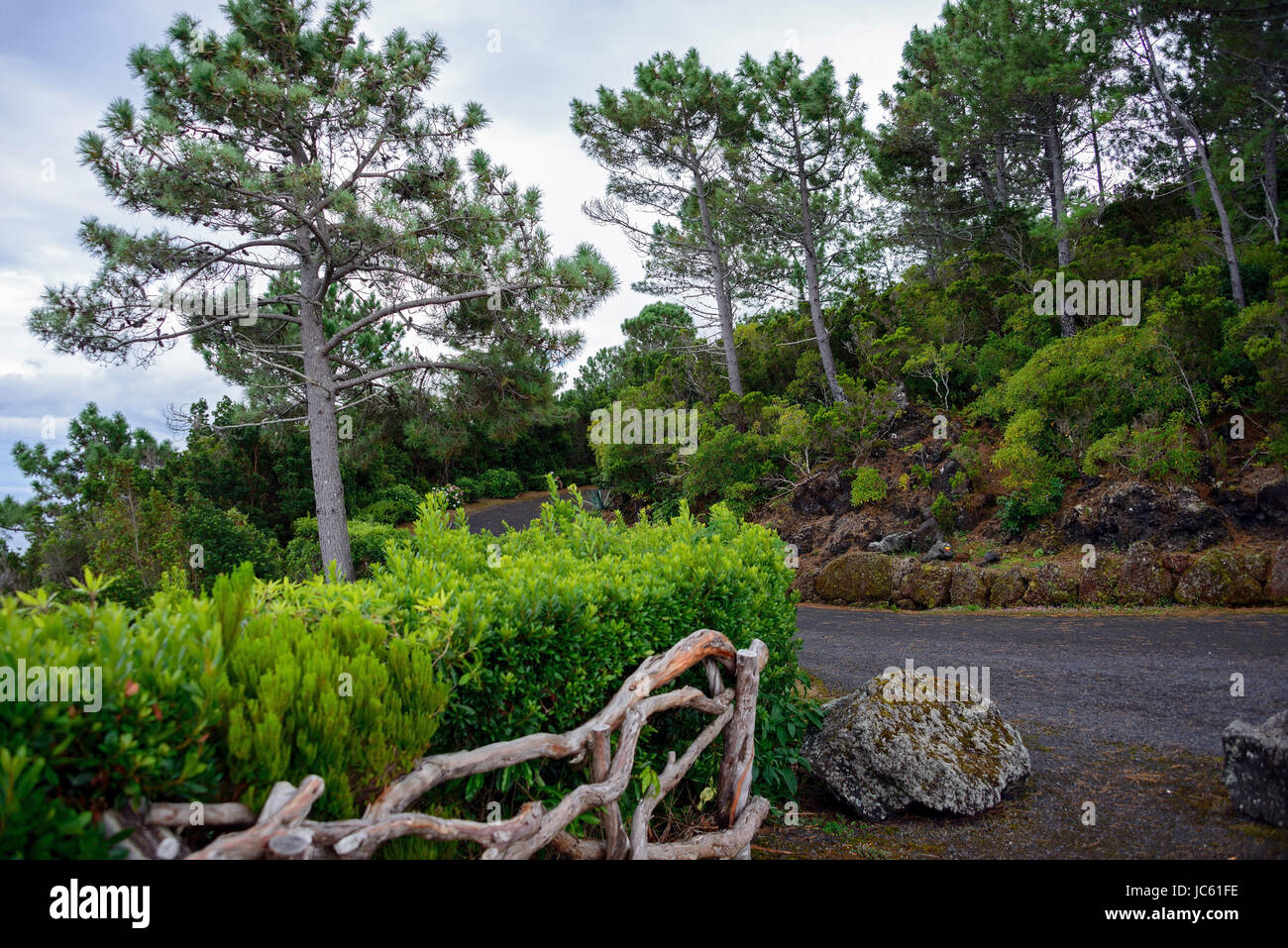 Parque Flores Tal da Prainha, Pico, Azoren, Portugal, Parque Florestal da Prainha, gewesen Stockfoto