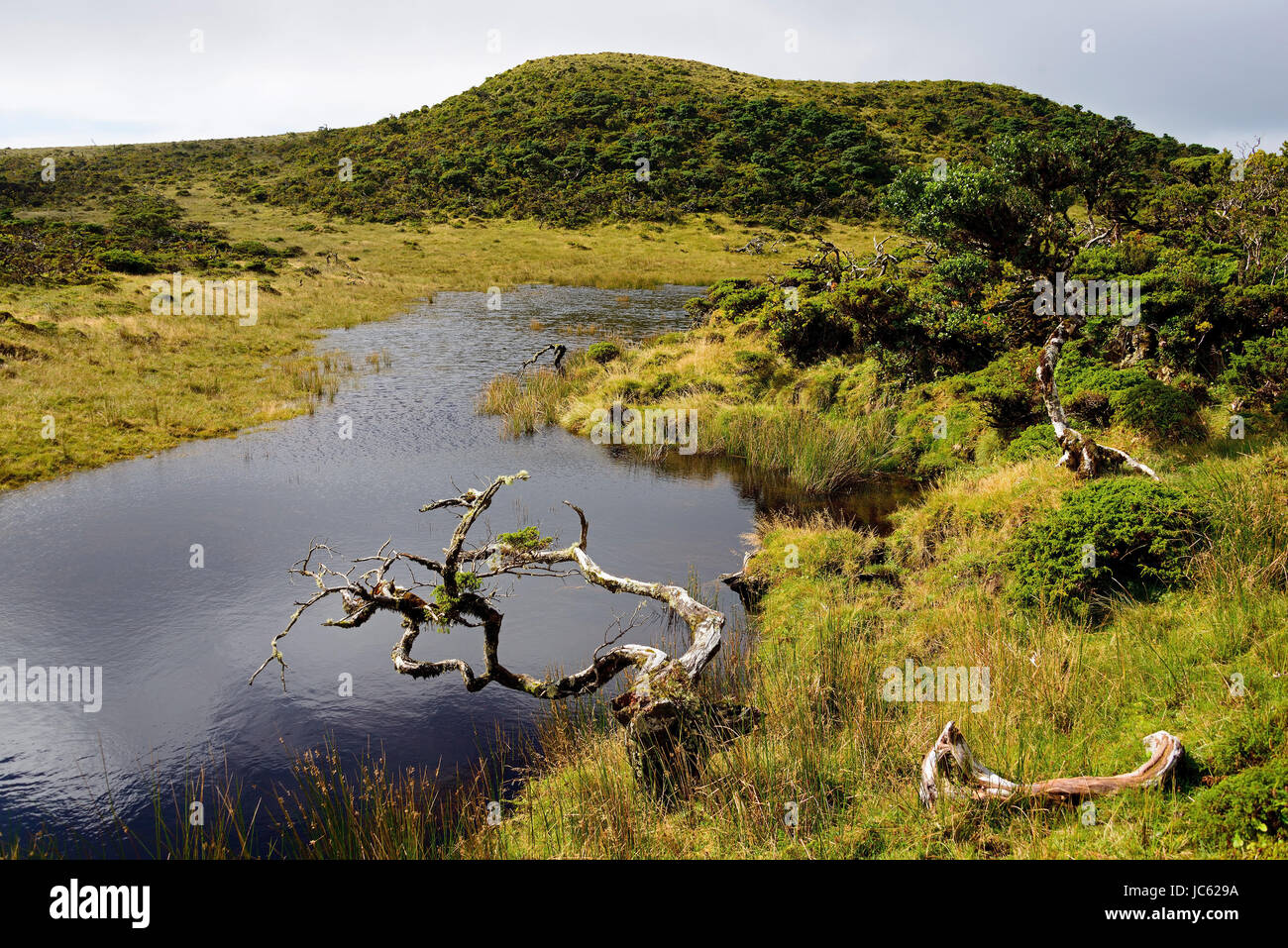 Landschaft im Hochland von Pico, Azoren, Landschaft Im Hochland von Pico, gewesen Stockfoto