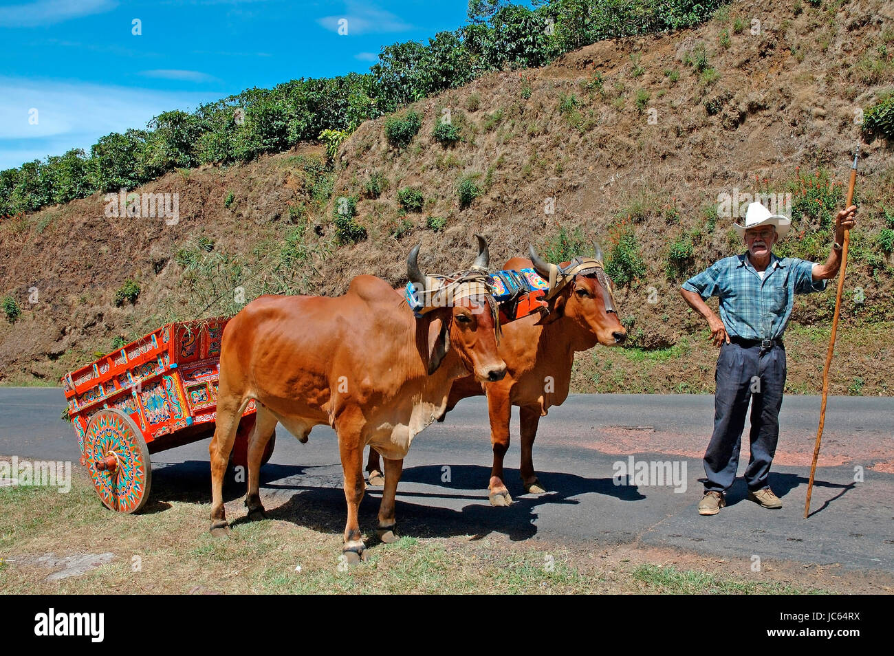 Costa Rica, Nähe von Alajuela, Mann mit bemalten die Ochsenkarren, Naehe von Alajuela, Mann Mit Bemaltem Ochsenkarren Stockfoto