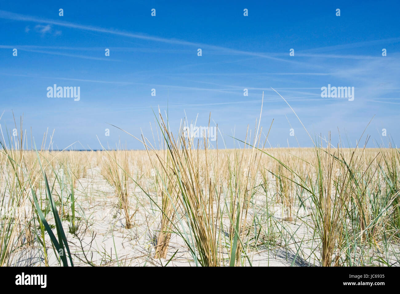 Wustrow, Düne Verbindung, Duenenbefestigung Stockfoto