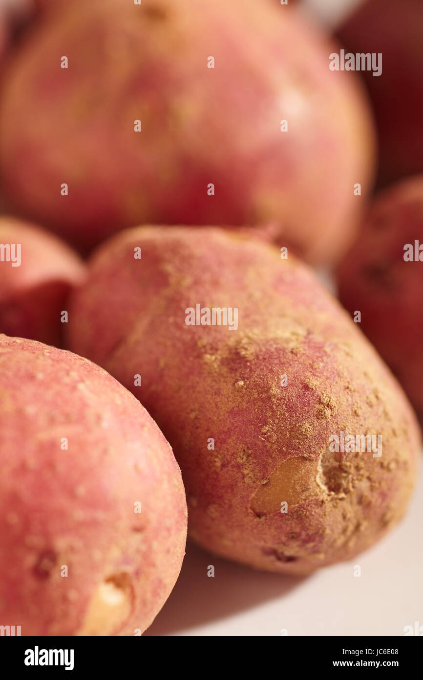 Frische, rohe, Baby-Kartoffeln Stockfoto