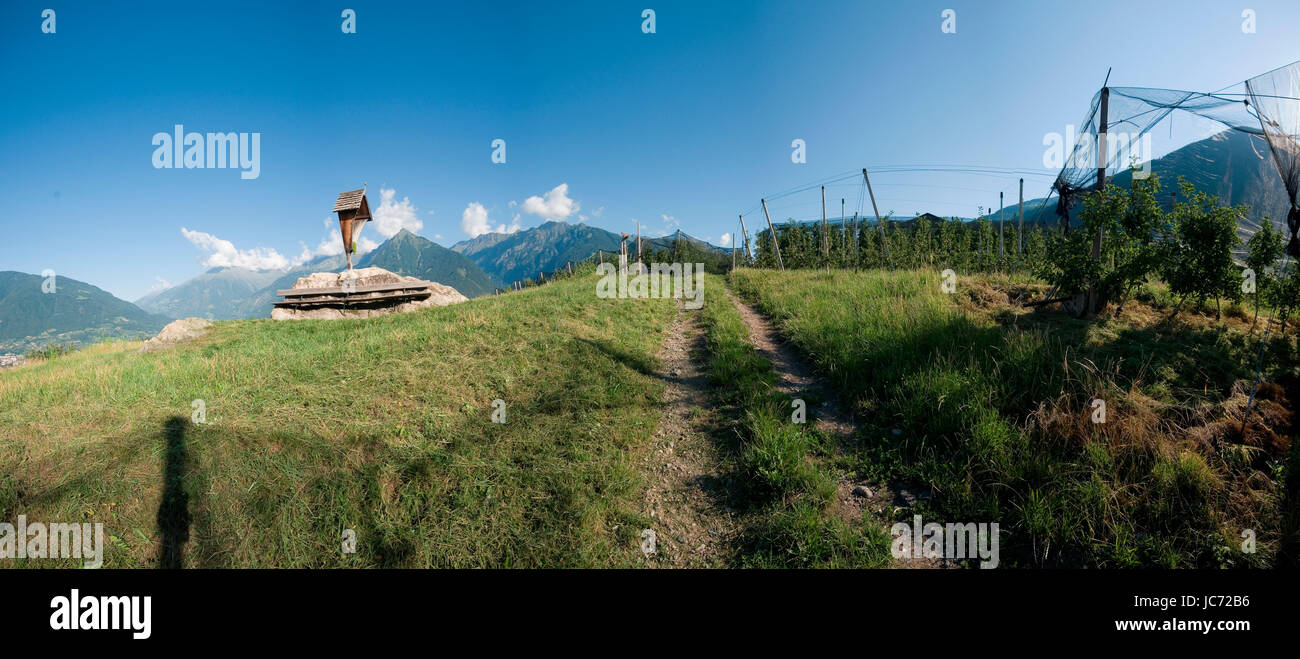 Panorama-Ansicht Oberhalb der Stadt Meran / Südtirol Mit Kreuz Zwischen Apfel-Plantagen Und Blick Auf die Gegenüberliegende Texelgruppe Stockfoto