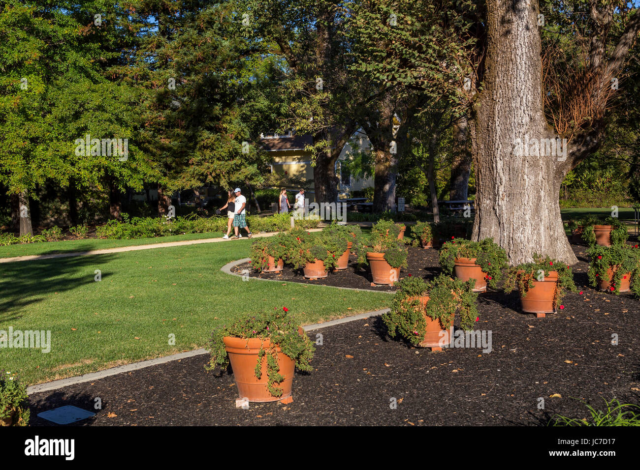 Menschen, Touristen, Outdoor-Weinprobe, Picknickplatz, Frank Family Vineyards, Calistoga, Napa Valley, California, Vereinigte Staaten von Amerika Stockfoto