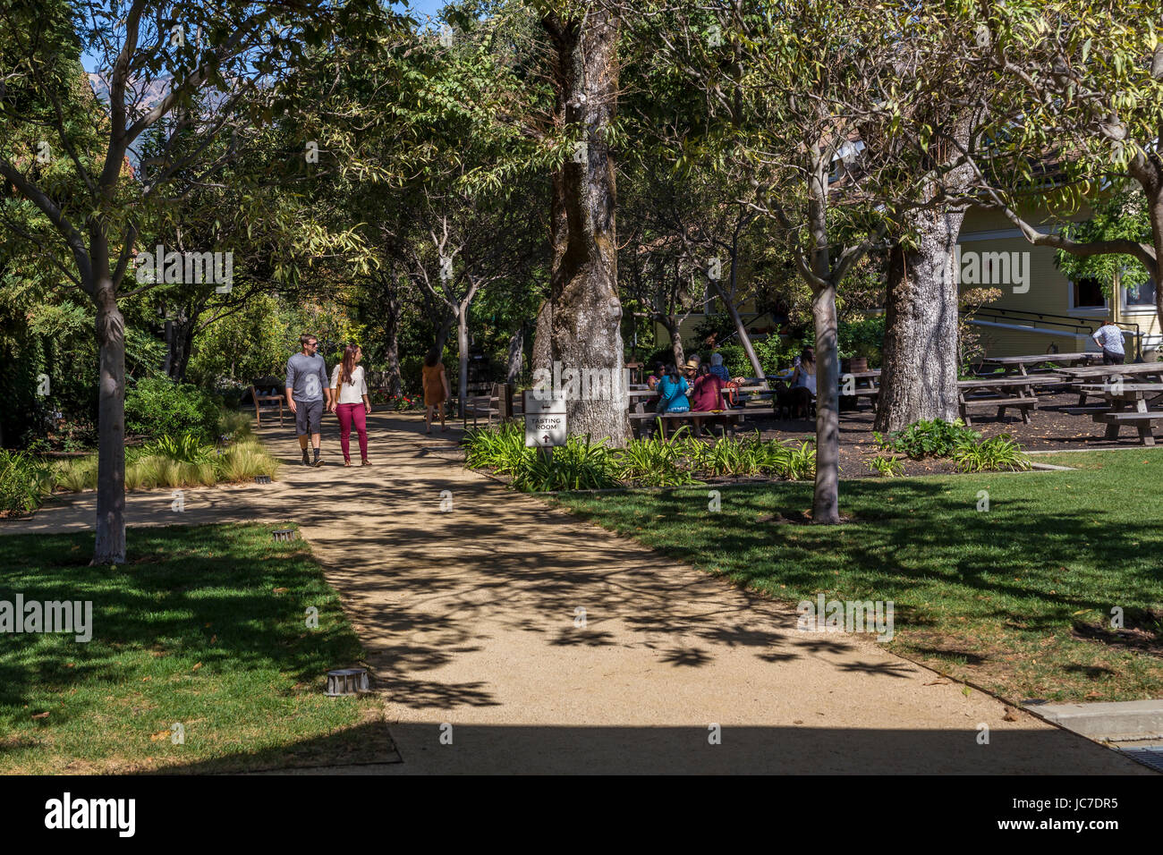 Menschen, Touristen, Outdoor-Weinprobe, Picknickplatz, Frank Family Vineyards, Calistoga, Napa Valley, California, Vereinigte Staaten von Amerika Stockfoto