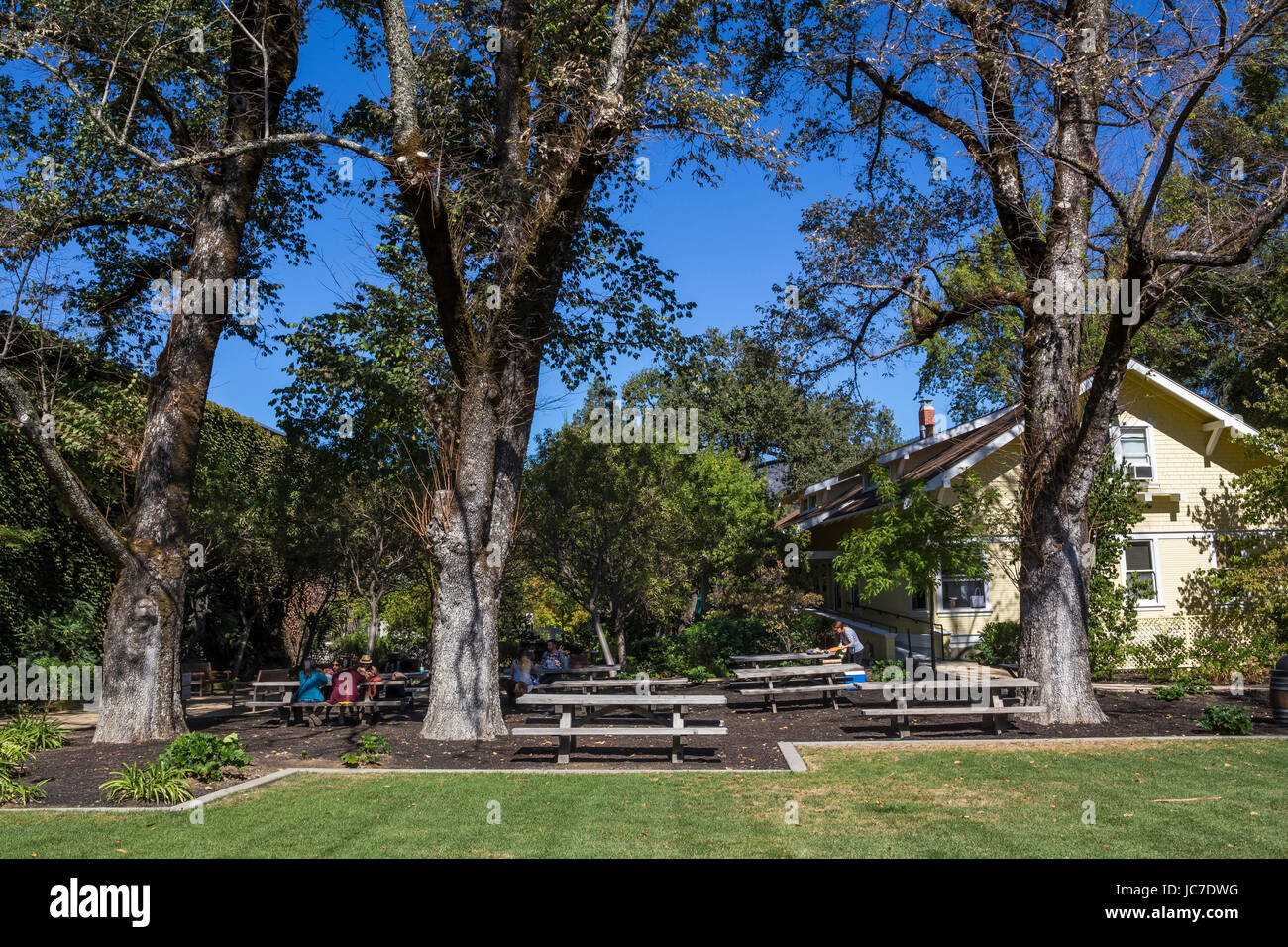 Menschen, Touristen, Outdoor-Weinprobe, Picknickplatz, Frank Family Vineyards, Calistoga, Napa Valley, California, Vereinigte Staaten von Amerika Stockfoto