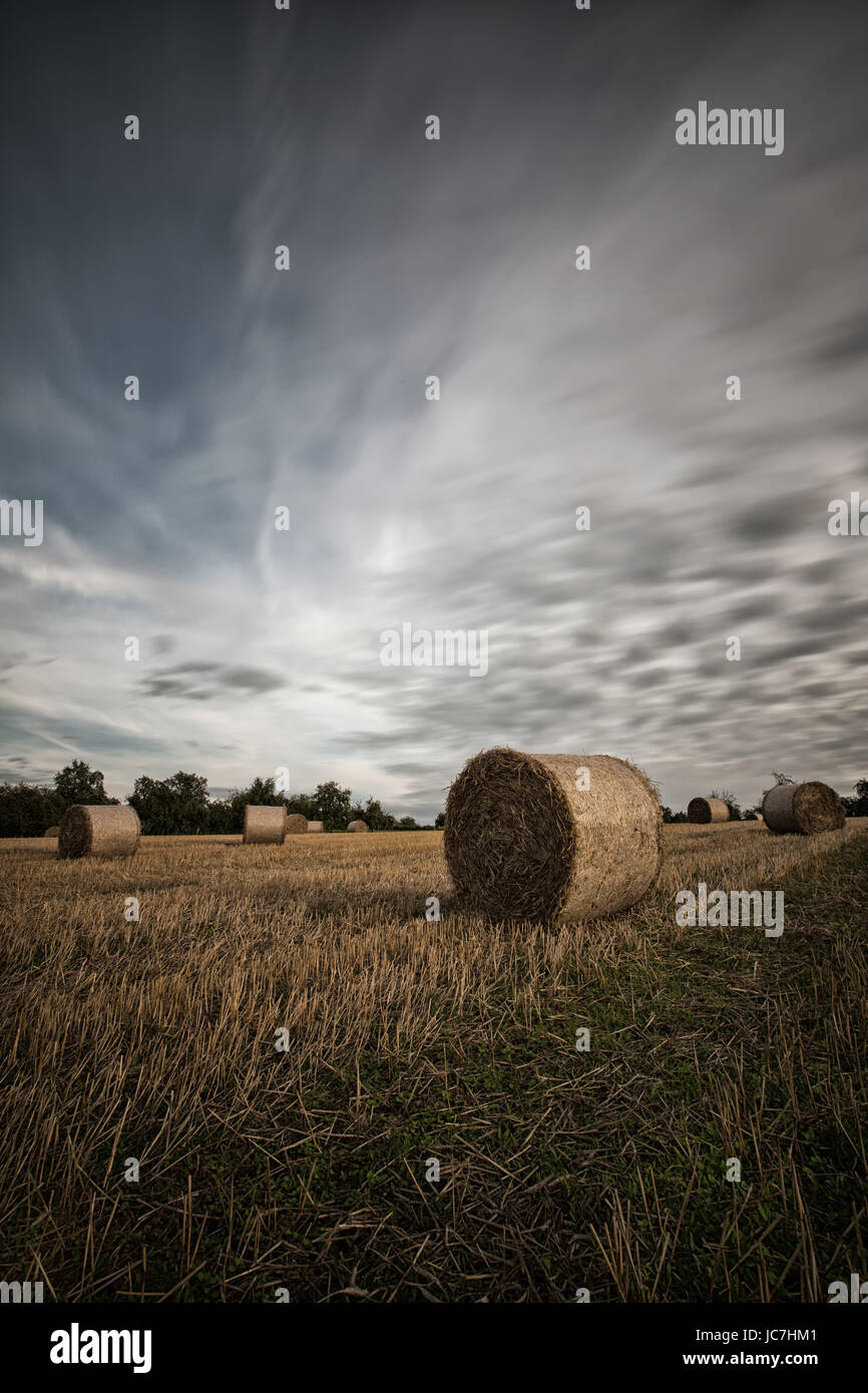 Stoppelfeld mit Strohballen Stockfoto