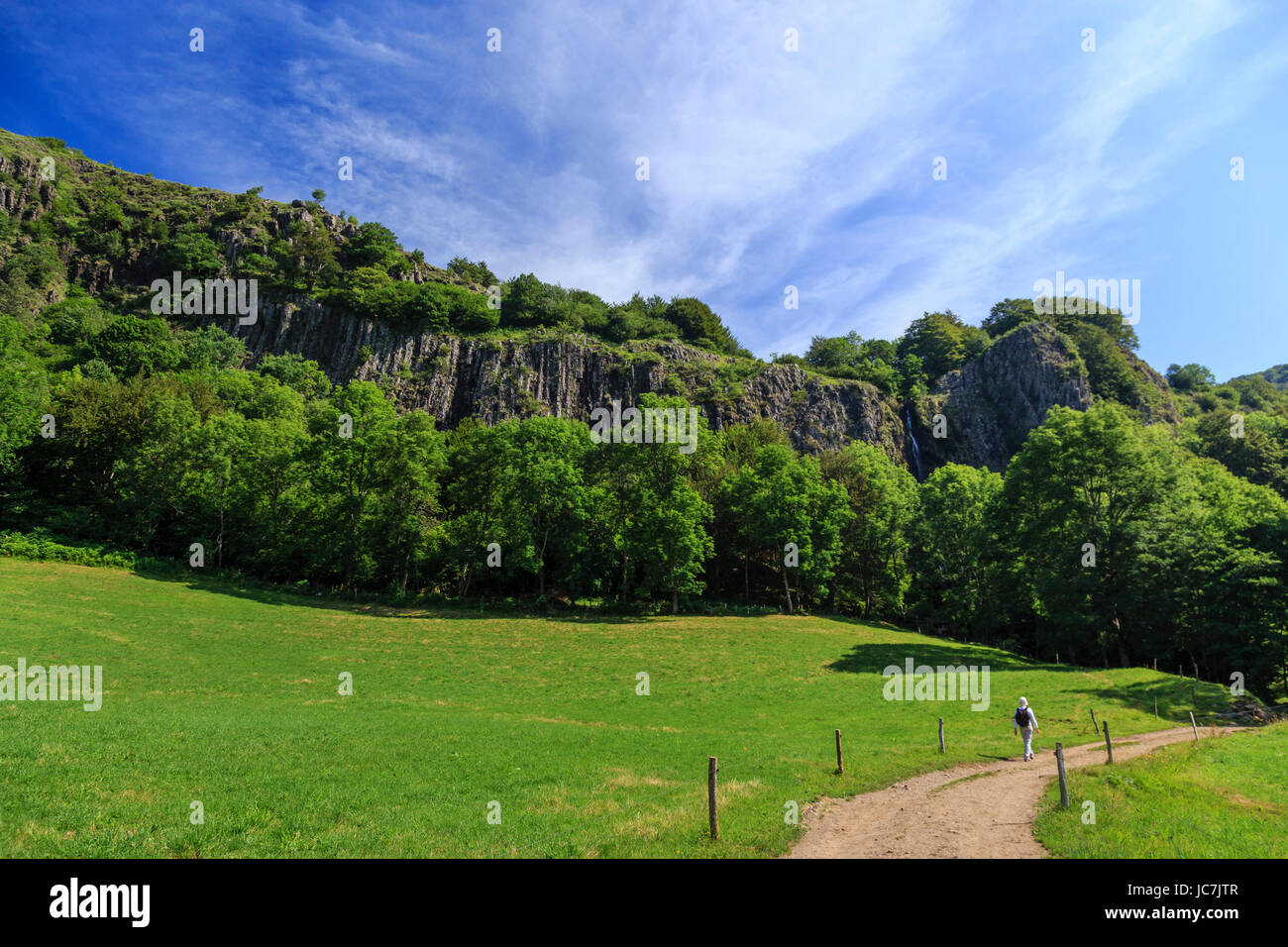 Frankreich, Cantal (15), Thiézac, Orgues Basaltiques Sur le Chemin vers la cascade de Faillitoux / / Frankreich, Cantal, Thiezac, Weg zum Faillitoux Wasserfall Stockfoto