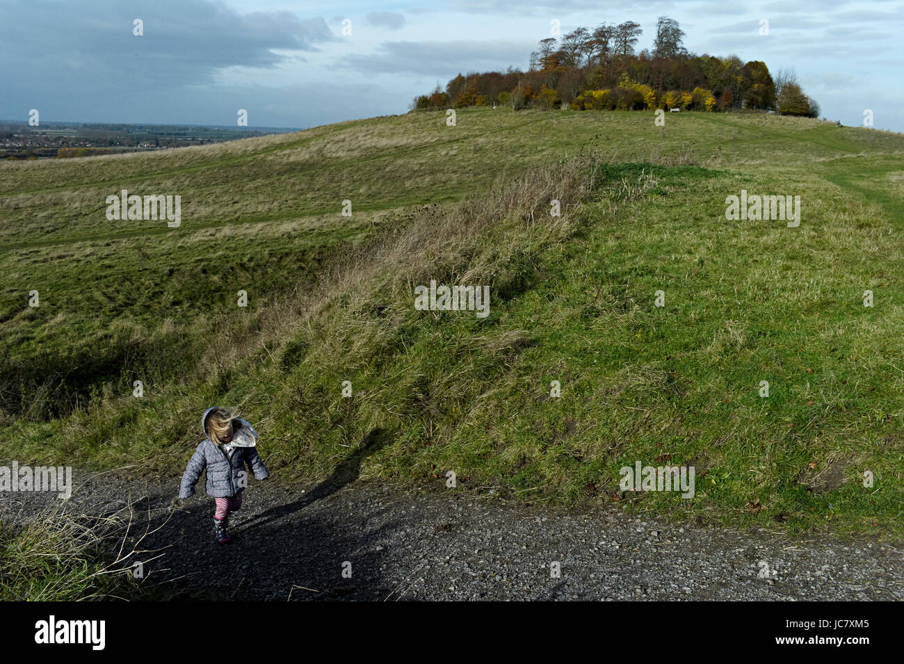 Oxfordshire, Spaziergänge Kind Vergangenheit Wittenham Klumpen der allgemeine Name für ein paar der bewaldeten Kreide Hügel im Thames Valley, in der Zivilgemeinde von kleinen ist Stockfoto
