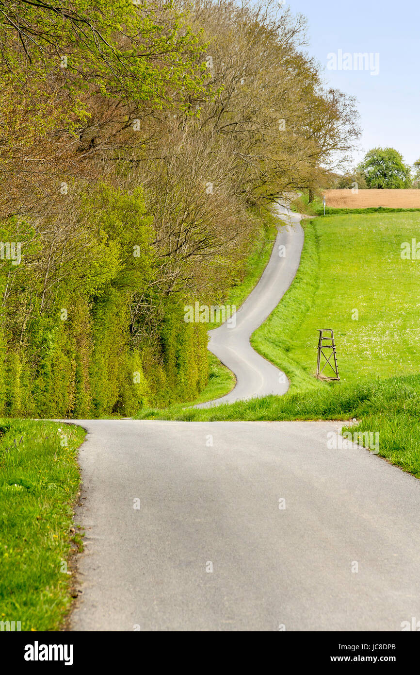 Woodside Landschaft mit Feldweg im Frühjahr in Süddeutschland Stockfoto