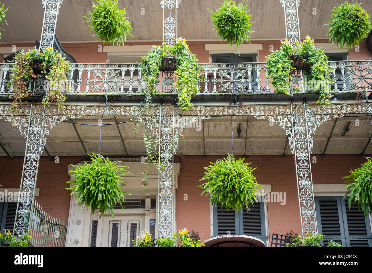 Üppigem Grün dekorieren die schmiedeeisernen filigrane Detaillierung eines typischen Balkons einer Doppel-Galerie Gebäude im French Quarter von New Orleans, Stockfoto