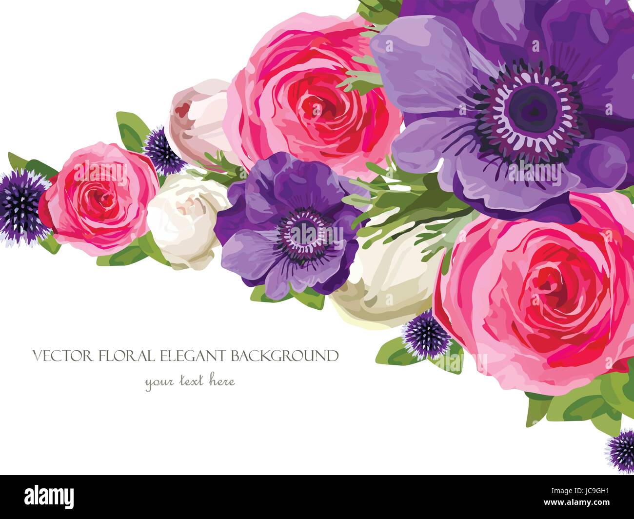 Blüte leuchtend rosa Blumen Rose Anemone Distel Blätter, schöne schönen Frühling Sommer Bouquet Vektor-Illustration. Ansicht von oben horizontal elegant ve Stock Vektor