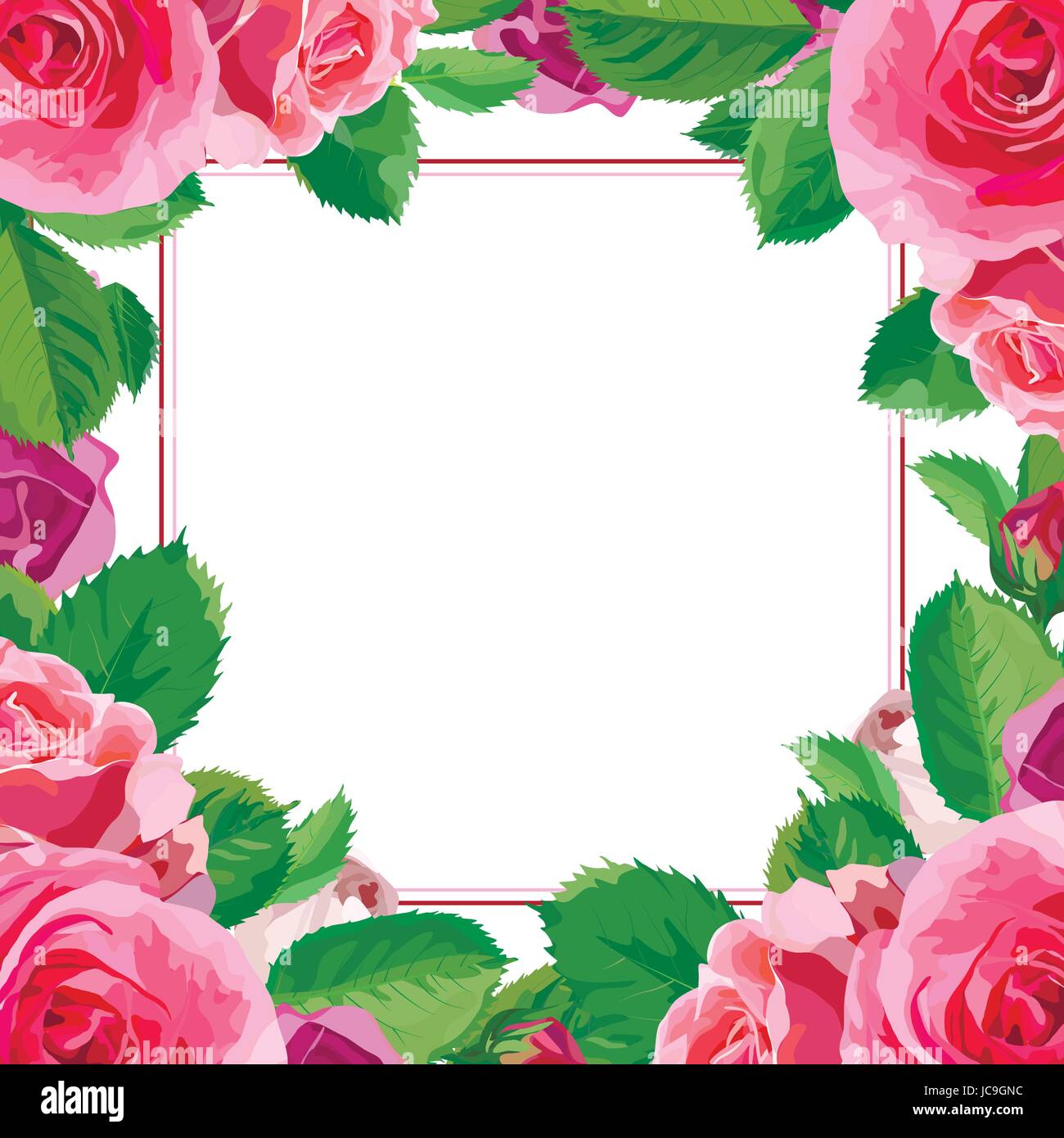 Blüte rosa blühende Blumen Rose grüne schönen Frühling, Sommer-Blumenstrauß-Vektor-Illustration Blätter. Draufsicht quadratisch elegant Aquarell Frame design Stock Vektor
