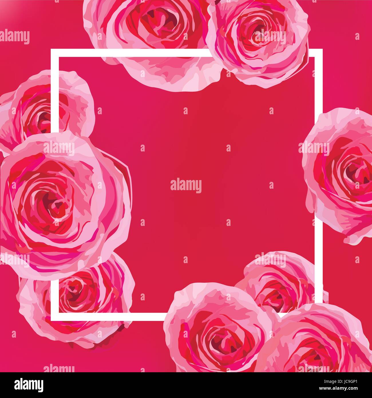 Blume Blumen rosa Rose, Rosen, schöne Garten, schönen Frühling, Sommer Bouquet-Vektor-Illustration. Draufsicht quadratisch eleganter Aquarell Design R Stock Vektor
