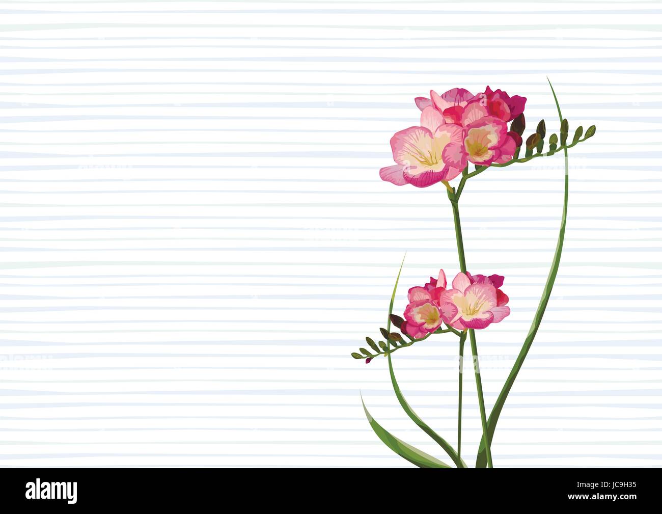 Blume Freesie mit Knöpfen, abgestreift Blätter schöne Blumenstrauß Komposition Vektor Farbe feine Darstellung der eleganten Element blau weißen Hintergrund. Ho Stock Vektor