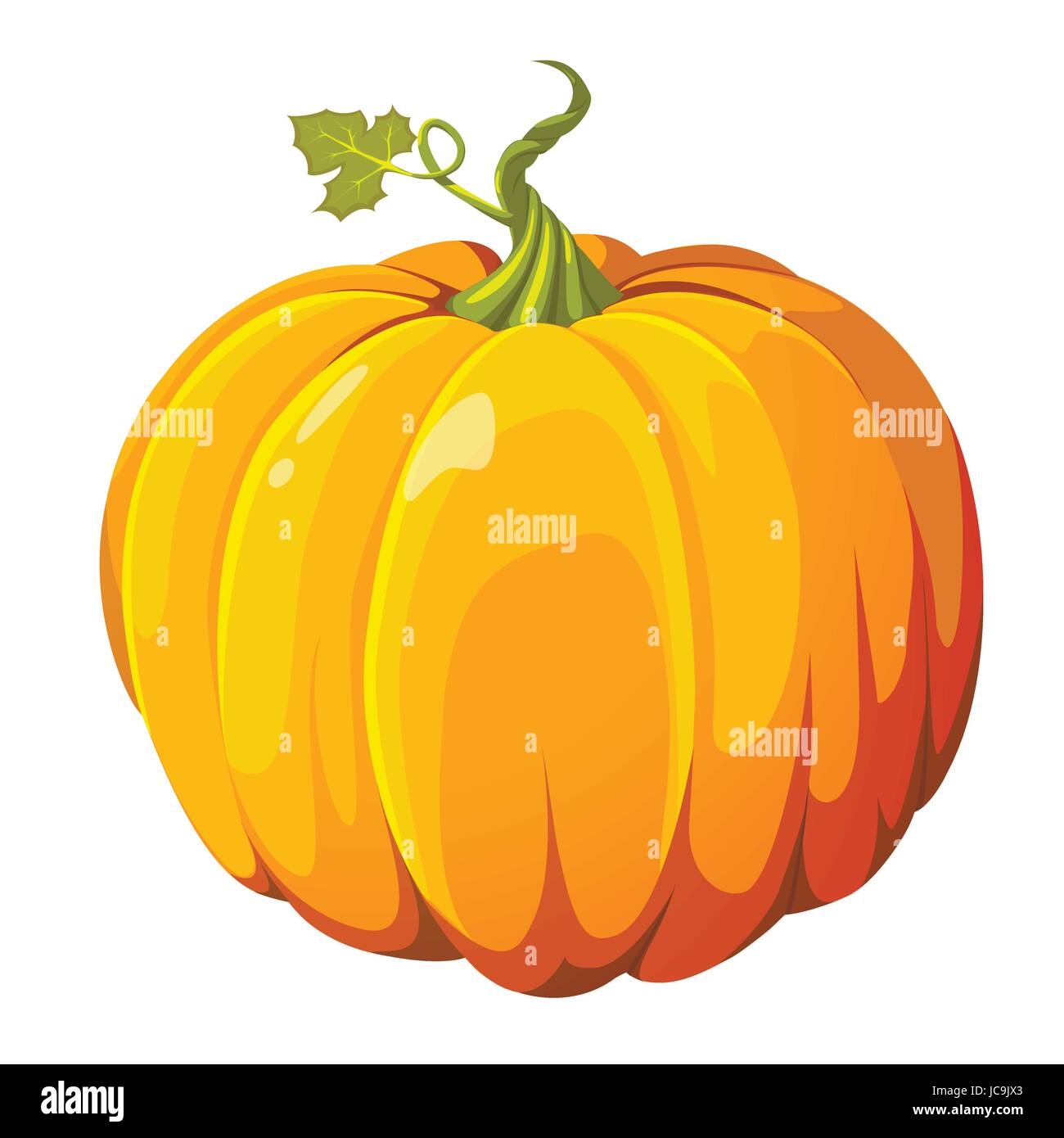 Kürbis frische orange Butternut große Herbst Gemüse Kürbis Kürbis. Vektor-schöne Nahaufnahme Seite Ansicht Platz Halloween Thanksgiving Ernte Symbol Zeichen p Stock Vektor