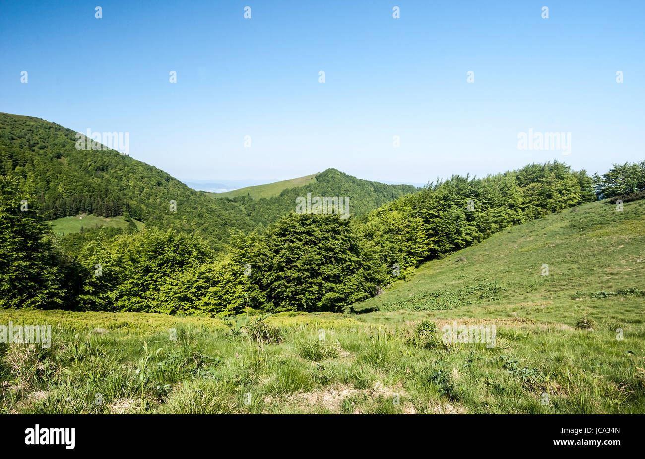 Berg Wiese mit Bäumen, Berge, auf den Hintergrund und den klaren Himmel in der Nähe von Sedlo za Kraviarskym Pass in der Mala Fatra Gebirge in der Slowakei Stockfoto