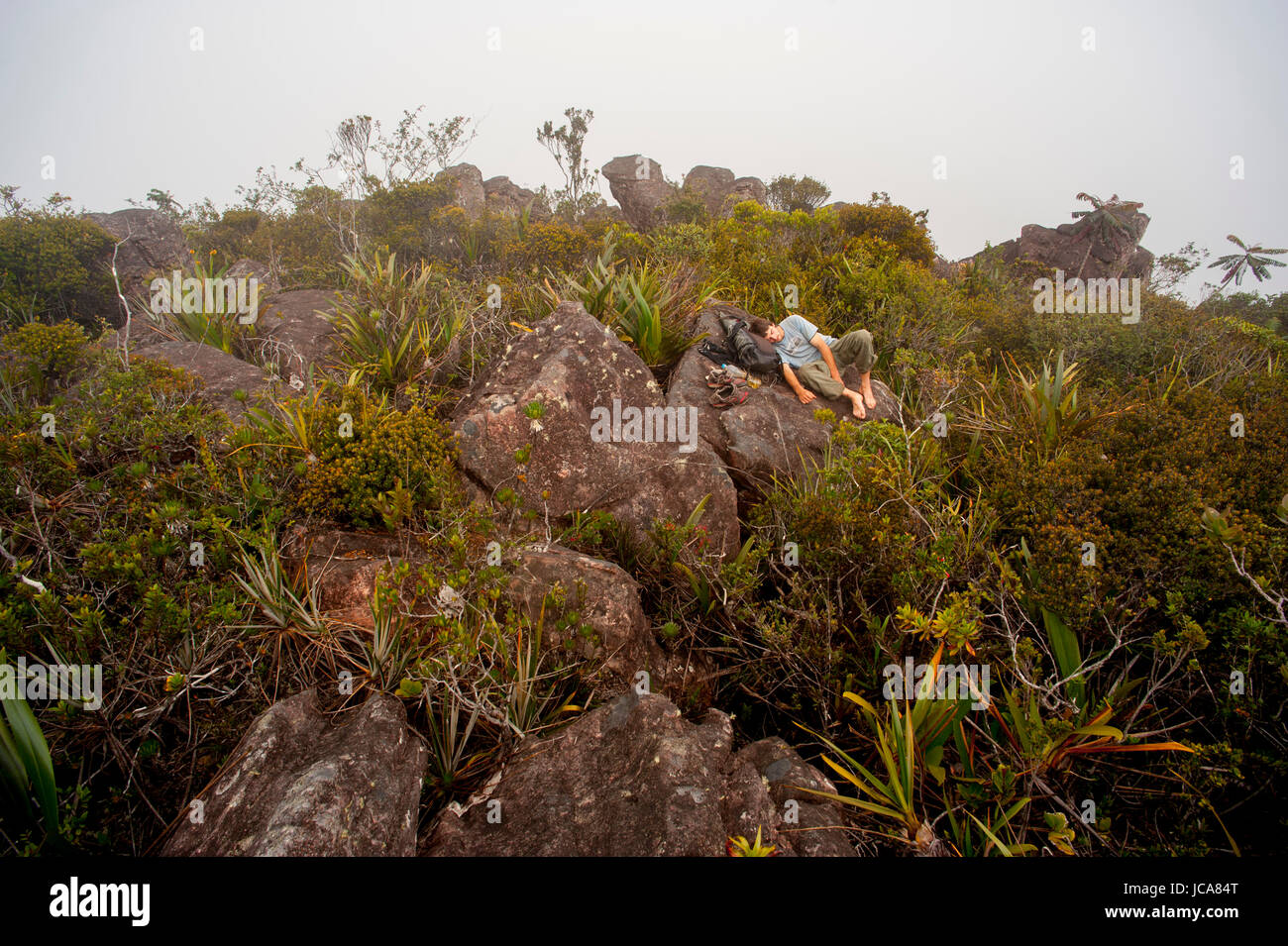 Mann erschöpft ruht auf dem Gipfel eines Tepui-Venezuela Expedition Dschungels Amuri Tepuy und Tuyuren Wasserfälle, mit Nicolas Favresse, Sean Villanueva, Stephane Hanssens und Jean Louis Wertz verklemmen. Das Team frei klettern zu neuen Climbingroutes auf Tepuy, die 3 Tage zu Fuß zum Dorf Yunek in der Nähe von Santa Helena und dem Salto angel(canaima) ist. Stockfoto