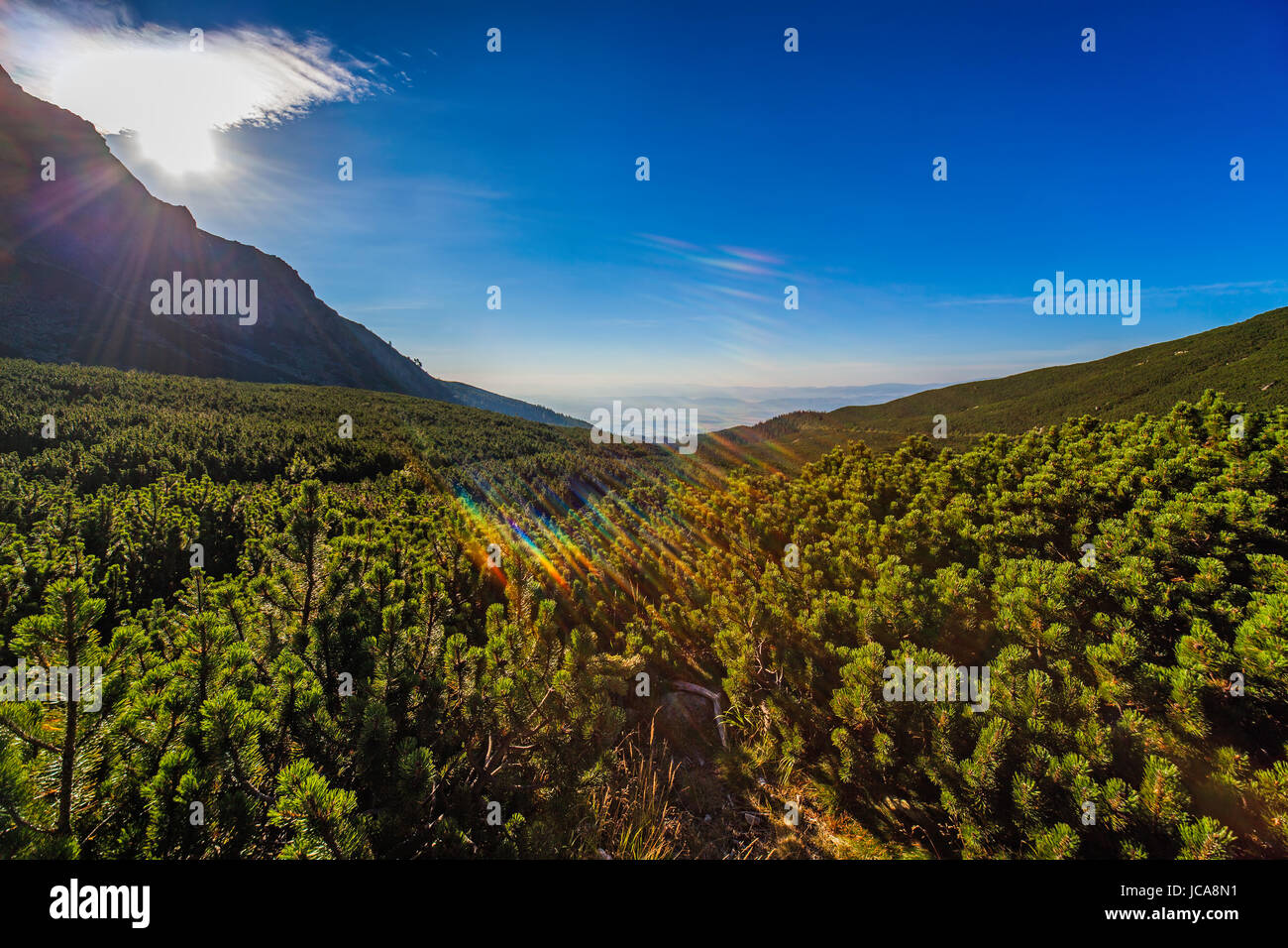 Hohe Tatra in der Slowakei Morgen Weitwinkel Landschaft. Stockfoto