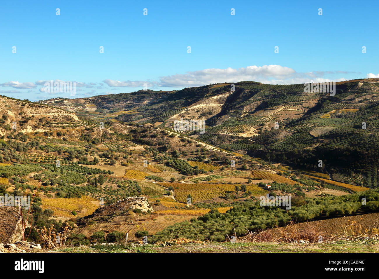 Tal der Weinberge in der Region Heraklion, in Kreta, Griechenland. Stockfoto