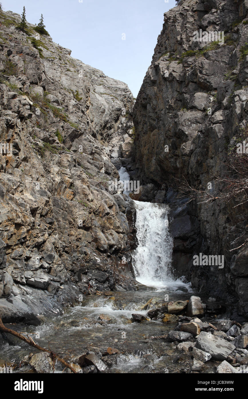 Grizzly-Bach fließt zwischen Felsen und Geröll in Kananaskis Country (Alberta) Stockfoto